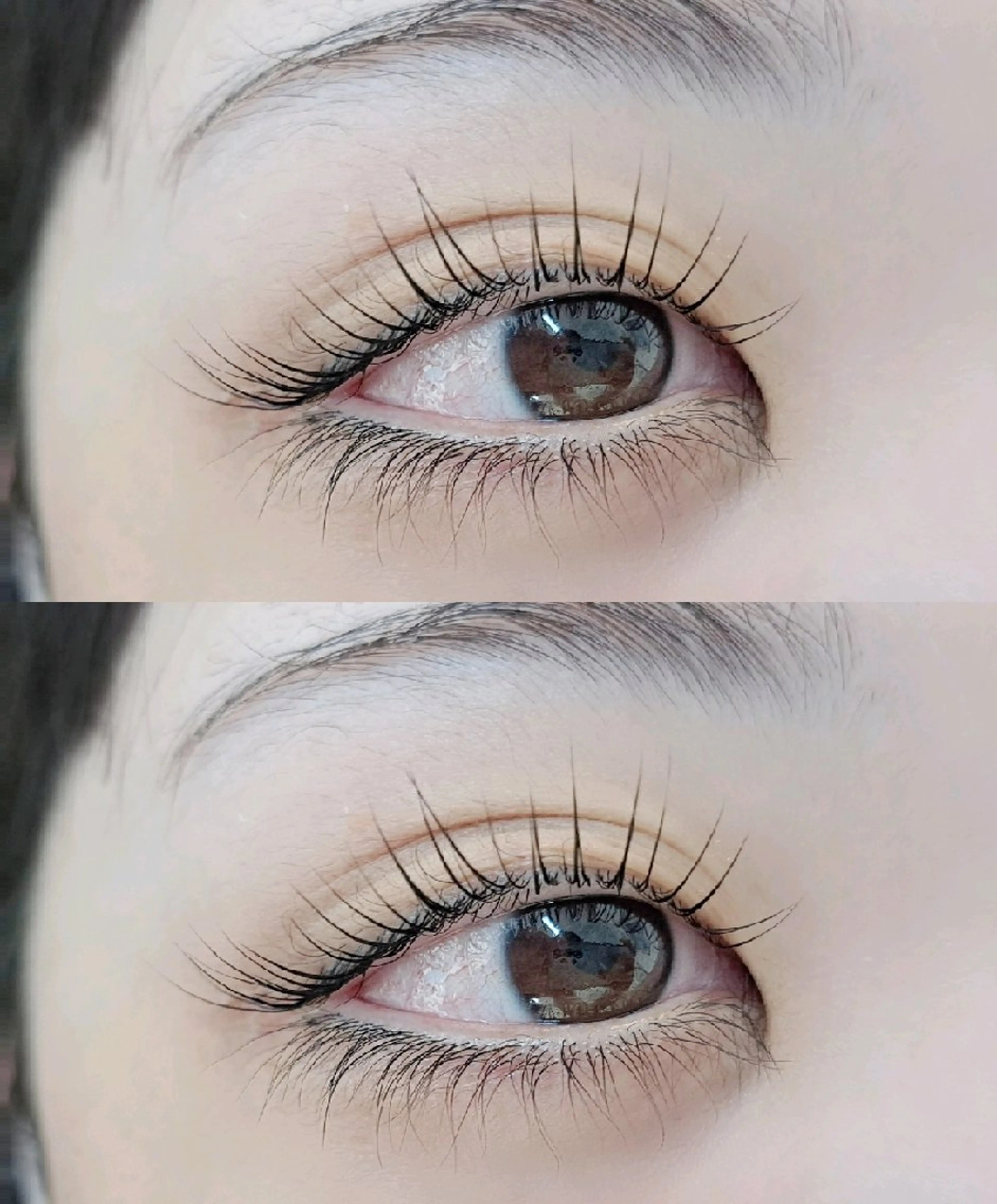 マツエク・マツパ cocolash　町屋店所属・cocolash 🧸のマツエク・マツパデザイン