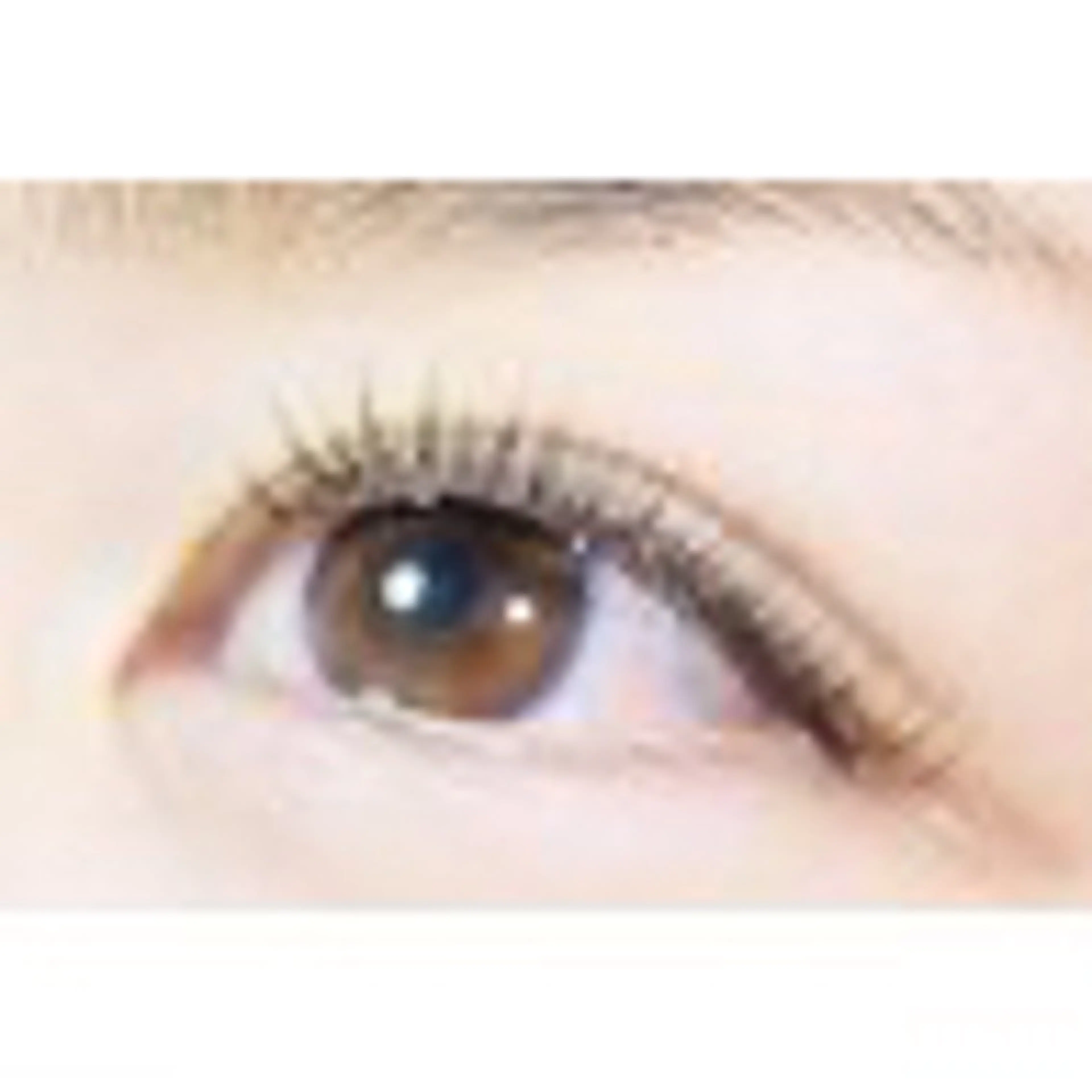 フラットマット80本【コーティング付き】の写真