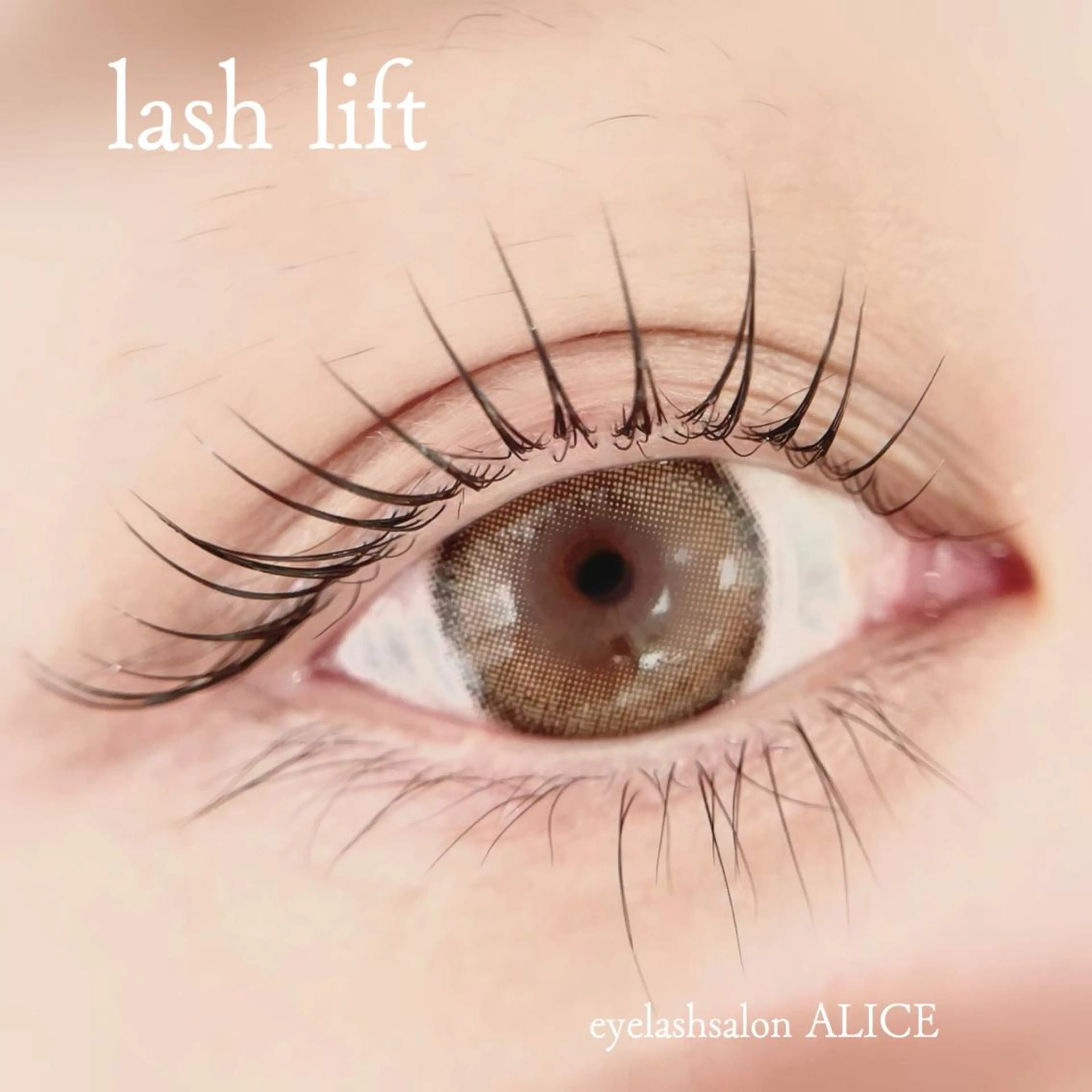 マツエク・マツパ eyelash  salon   ALICE所属・佐々木 由井のマツエク・マツパデザイン