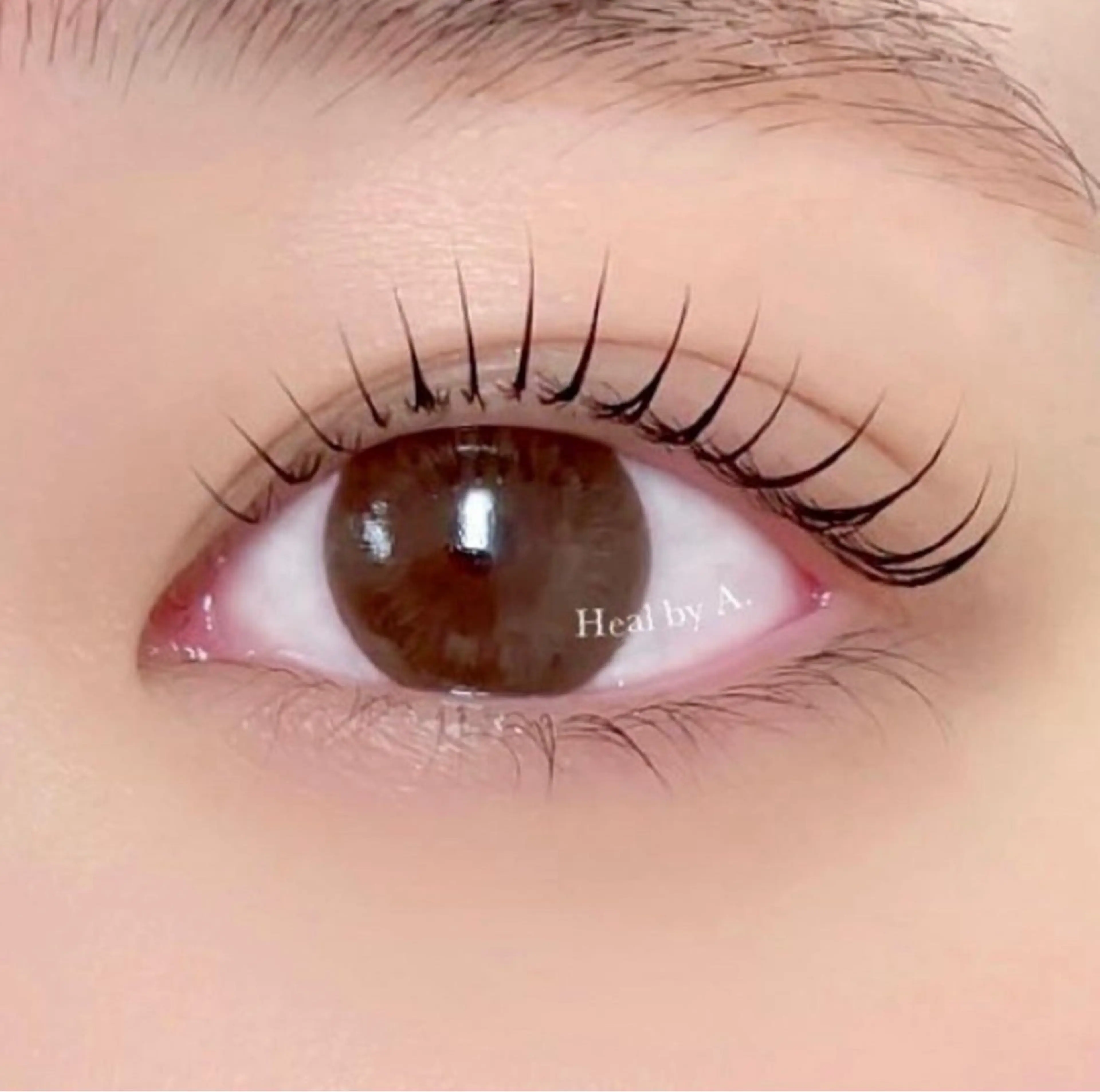 撮影モデル特別価格🎀まつげパーマ・LASHLIFT・パリジェンヌの写真