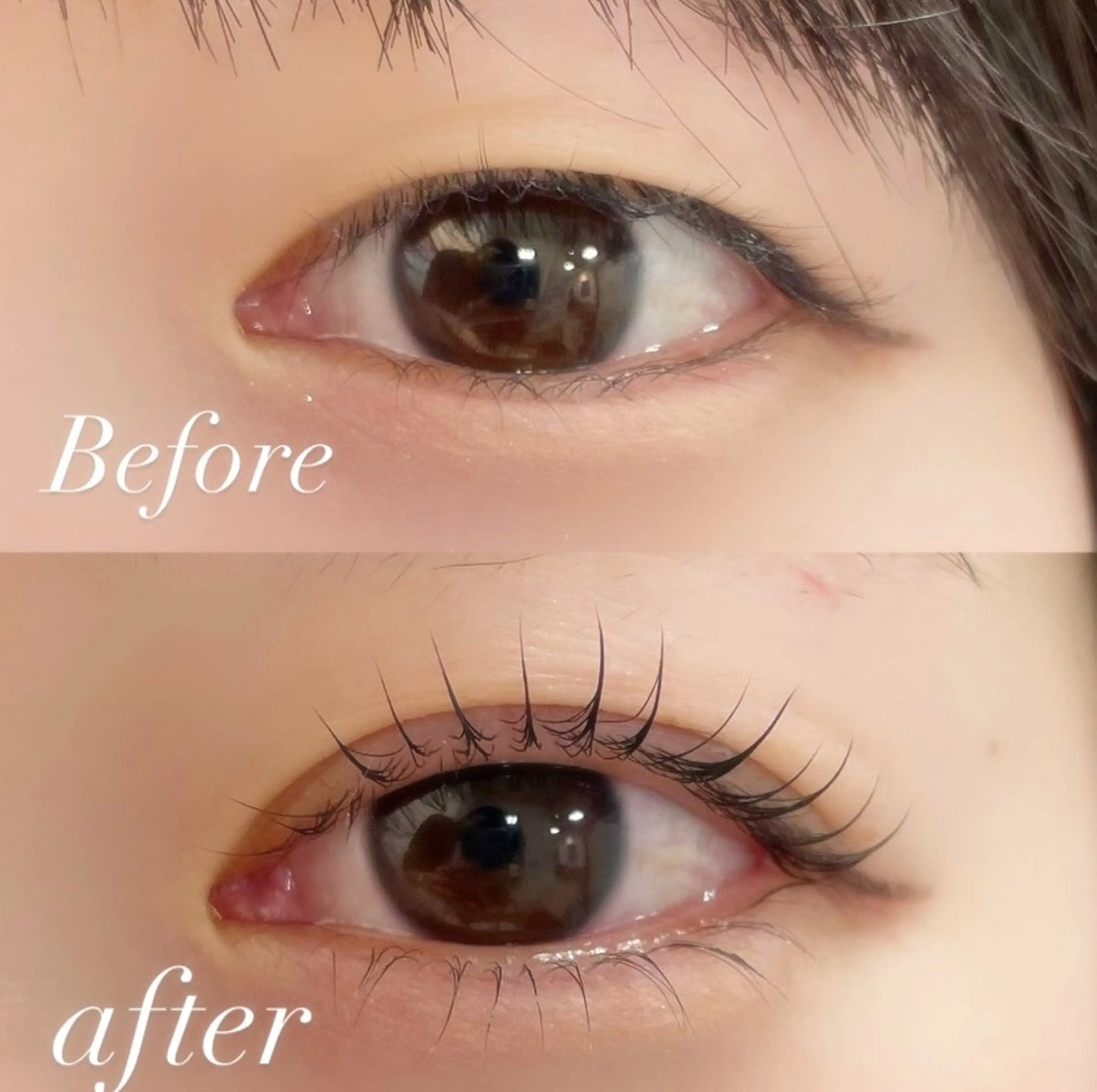 マツエク・マツパ マツパ 【tico】 Chihoのマツエク・マツパデザイン