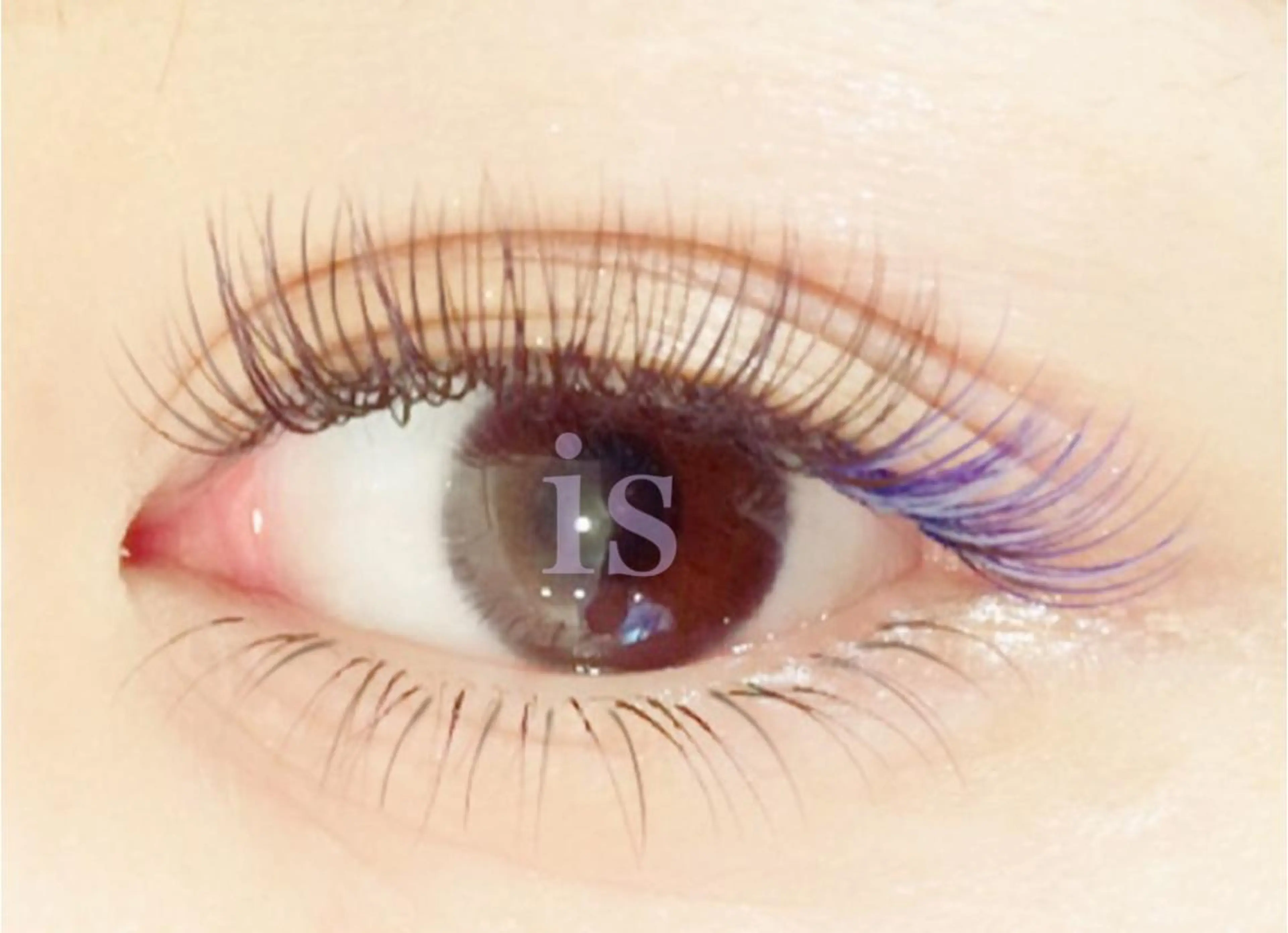 マツエク・マツパ マツエク ＆ meのマツエク・マツパデザイン