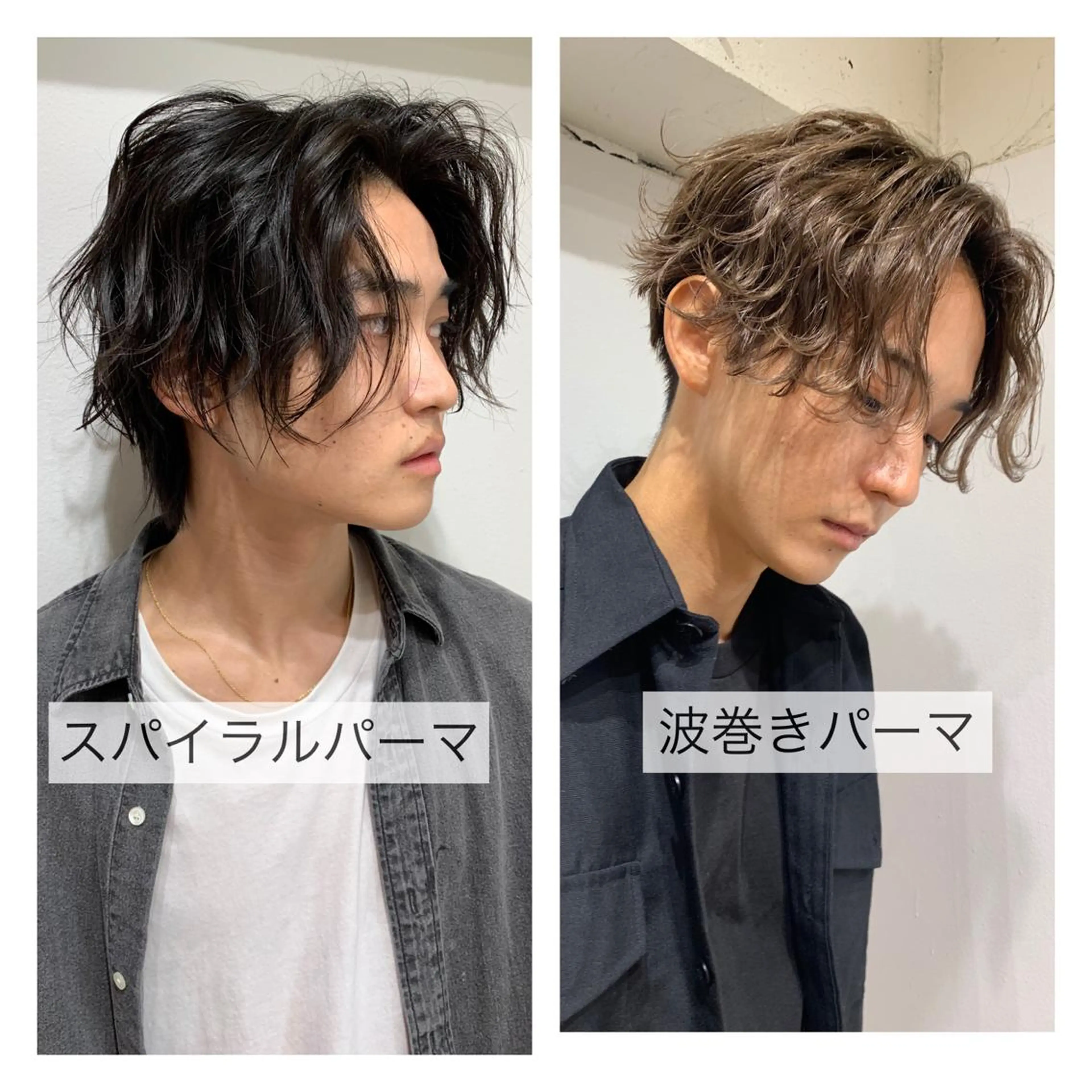 ミディアム メンズ ミディアムパーマ センターパート メンズ韓国風 マッシュウルフ マッシュ Chill所属・三矢 ちなつのヘアスタイル