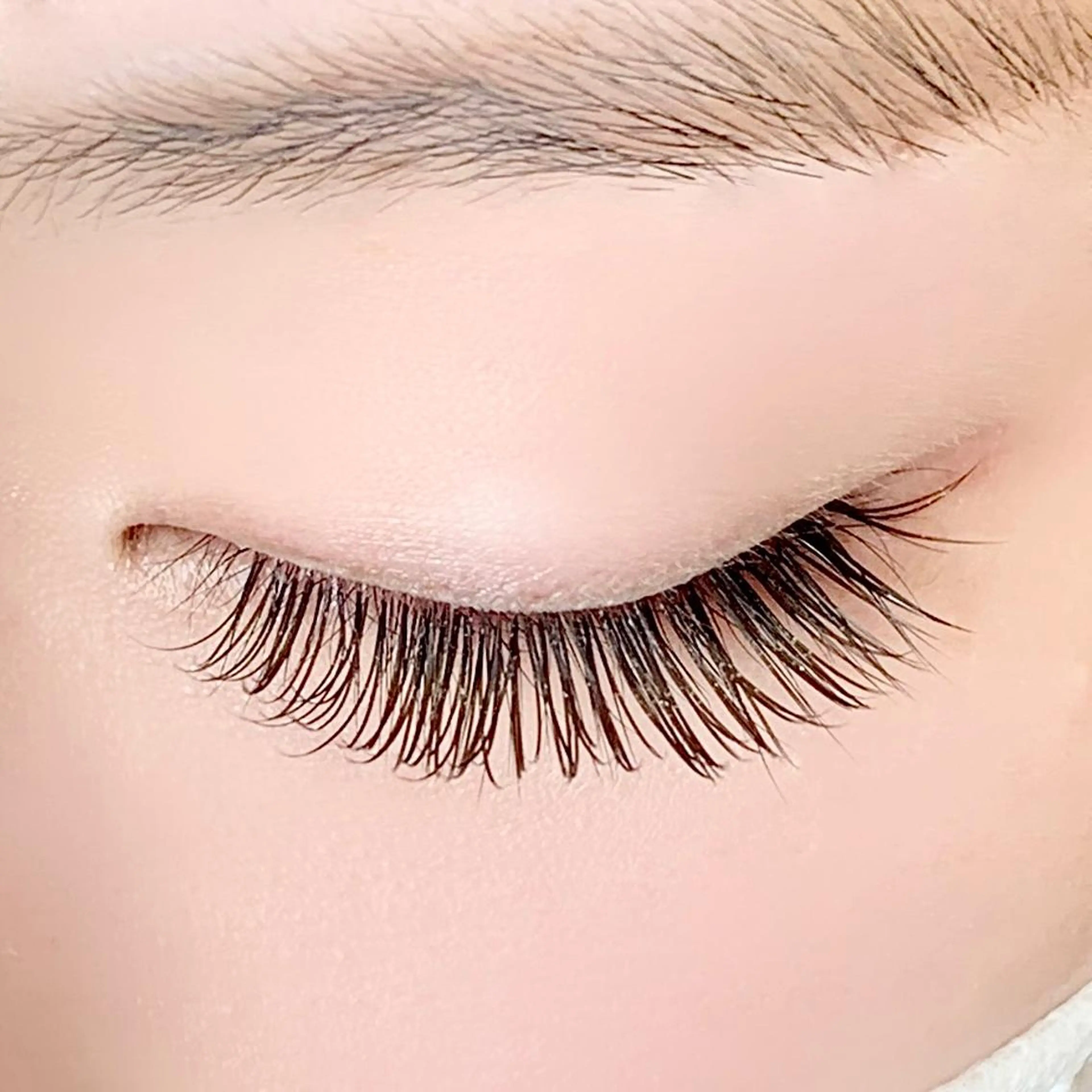 💎【上下セット】上フラット100本or120本+下セーブル40本の写真