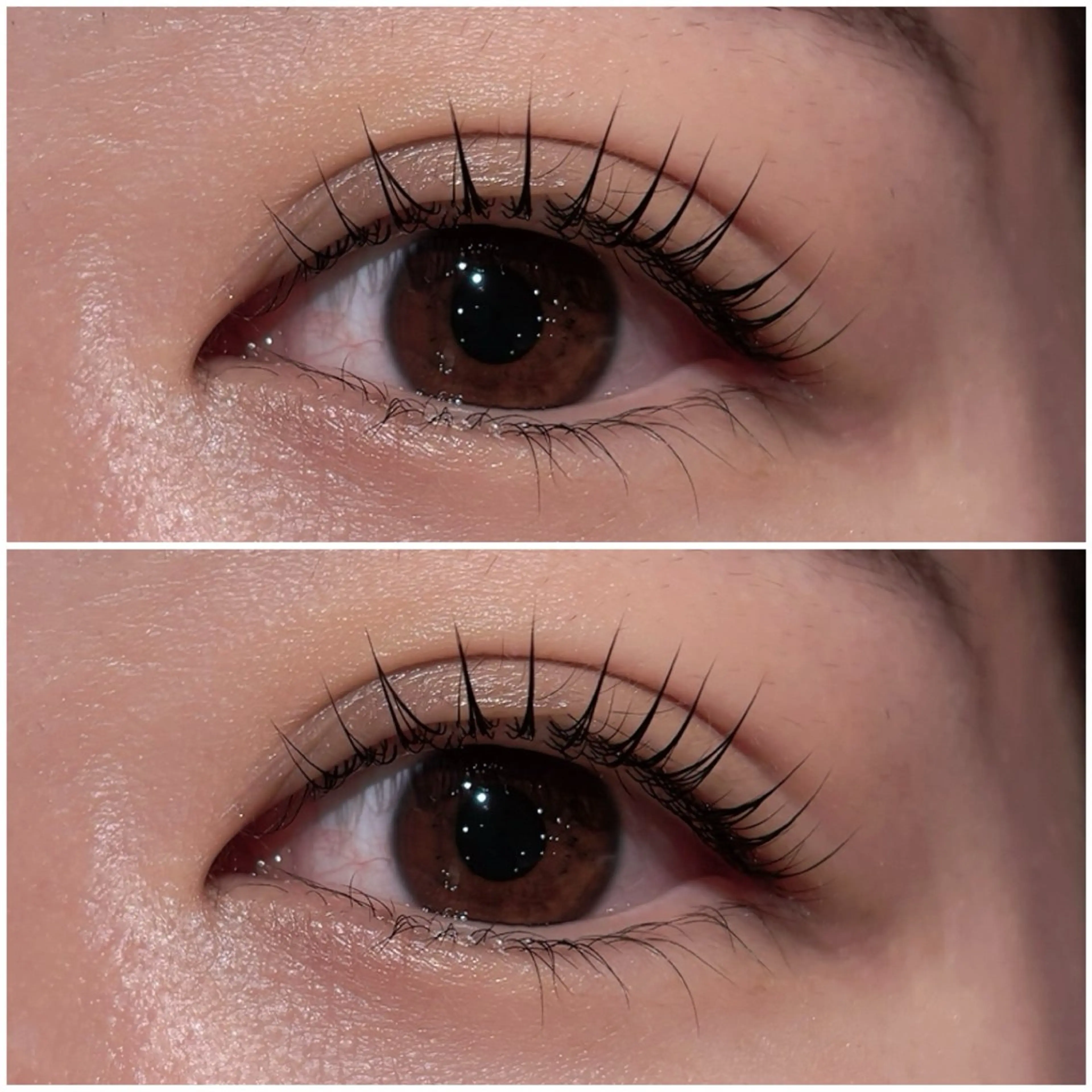 マツエク・マツパ パリジェンヌラッシュリフト マツパ Yamamoto ☽⋰のマツエク・マツパデザイン