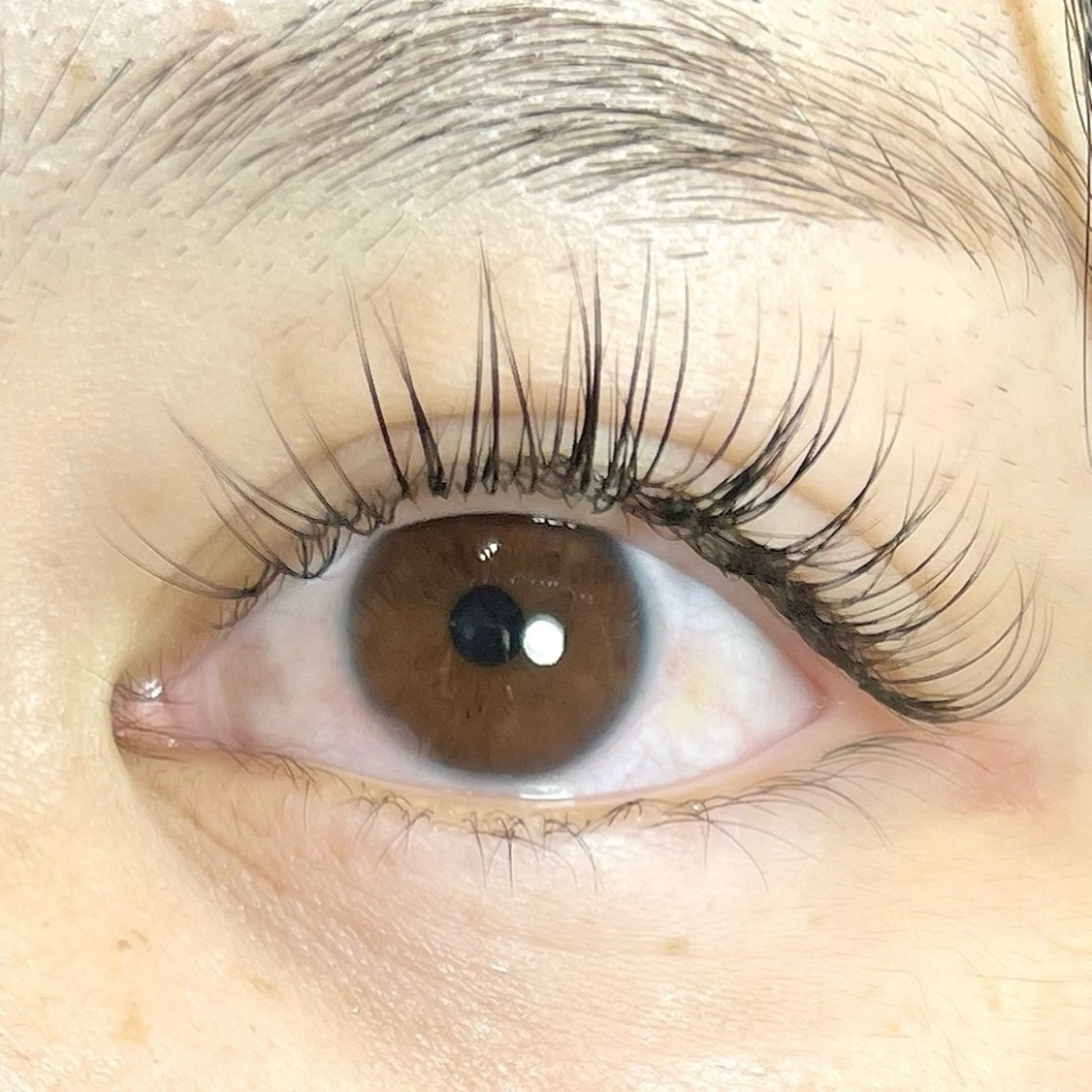 マツエク・マツパ マツエク toiro所属・toiro 鎌取のマツエク・マツパデザイン