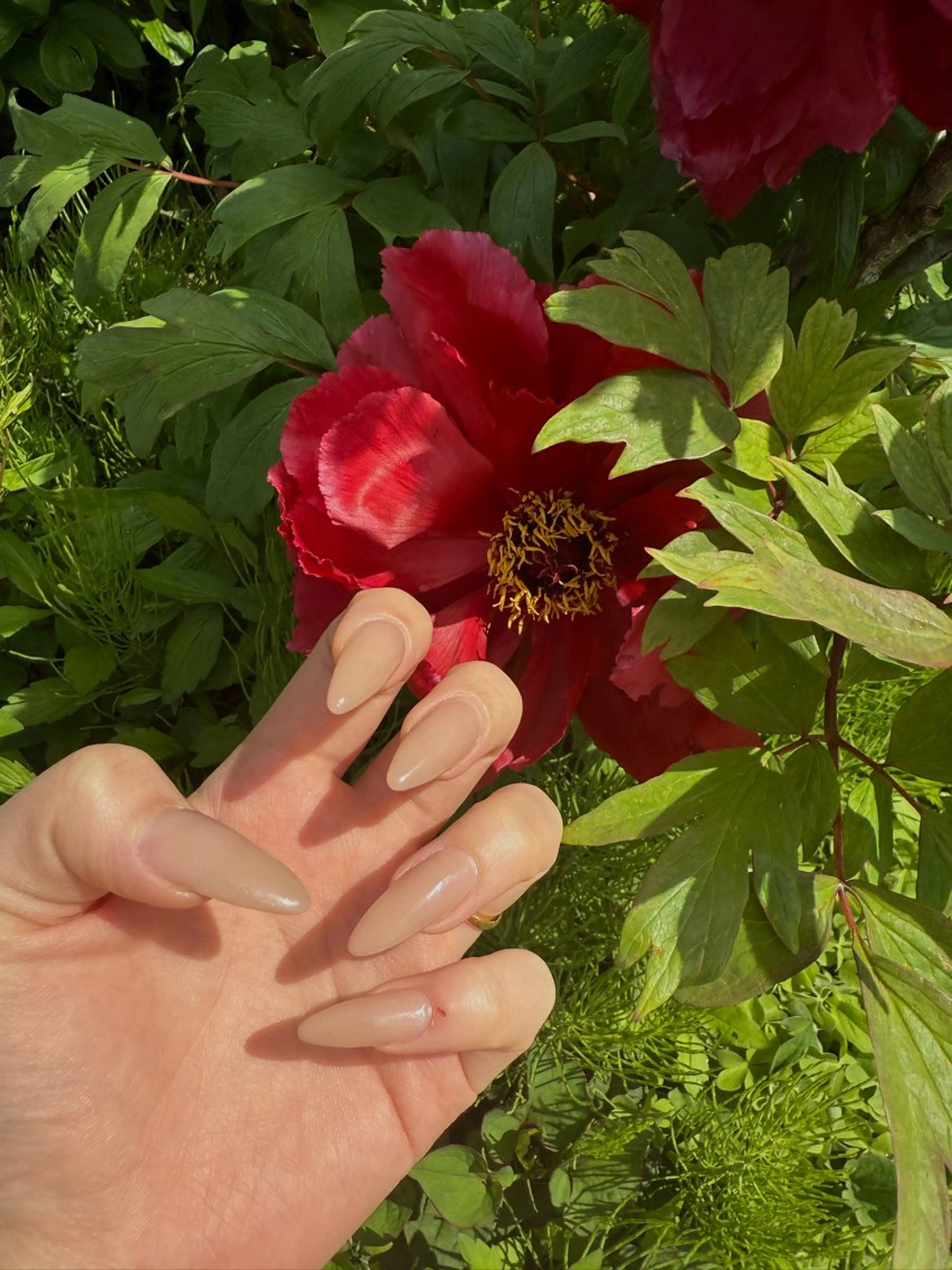 ネイル ネイルサロン Amo所属・ネイルサロンAmo 🎀RIOのネイルデザイン