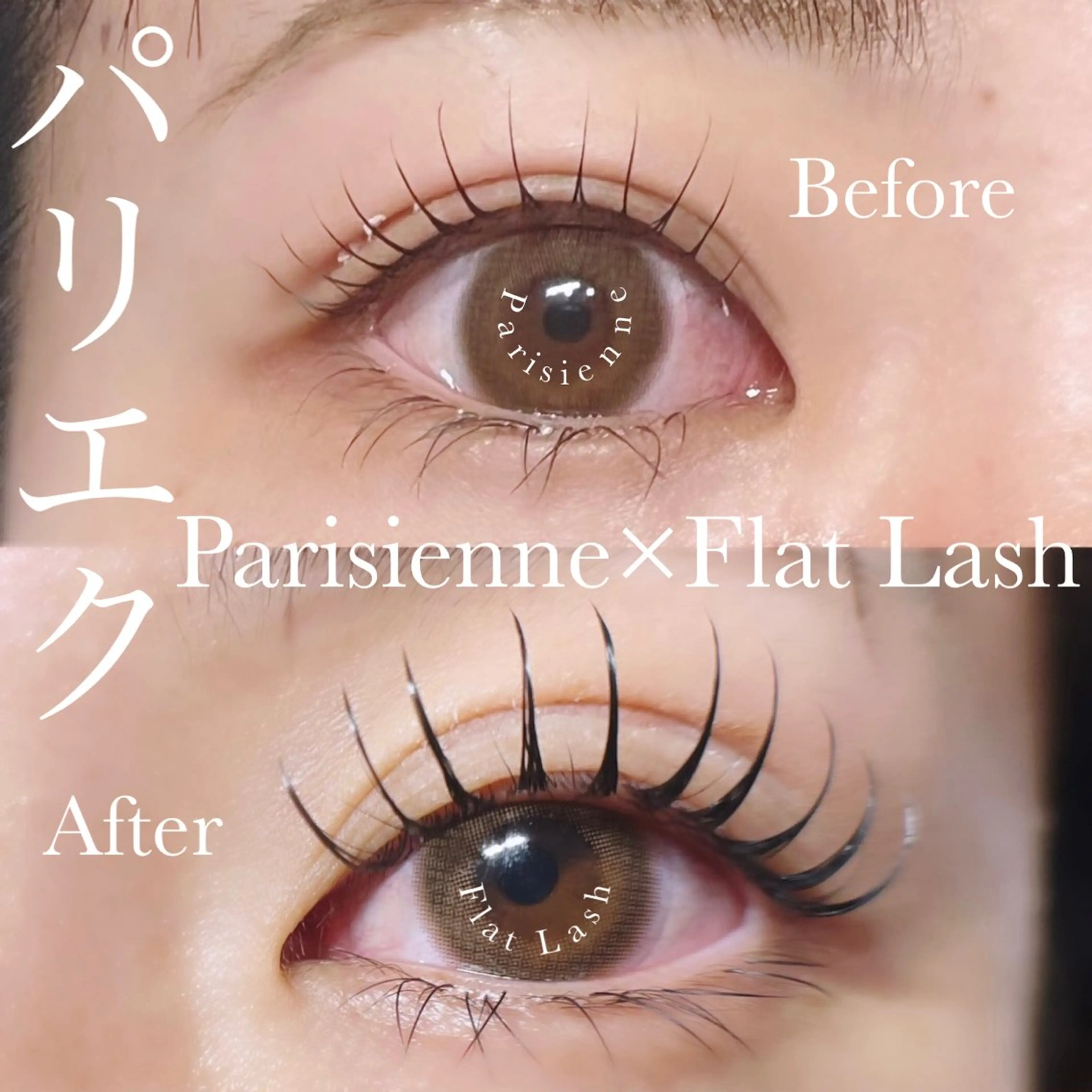 マツエク・マツパ sol ayumiのマツエク・マツパデザイン