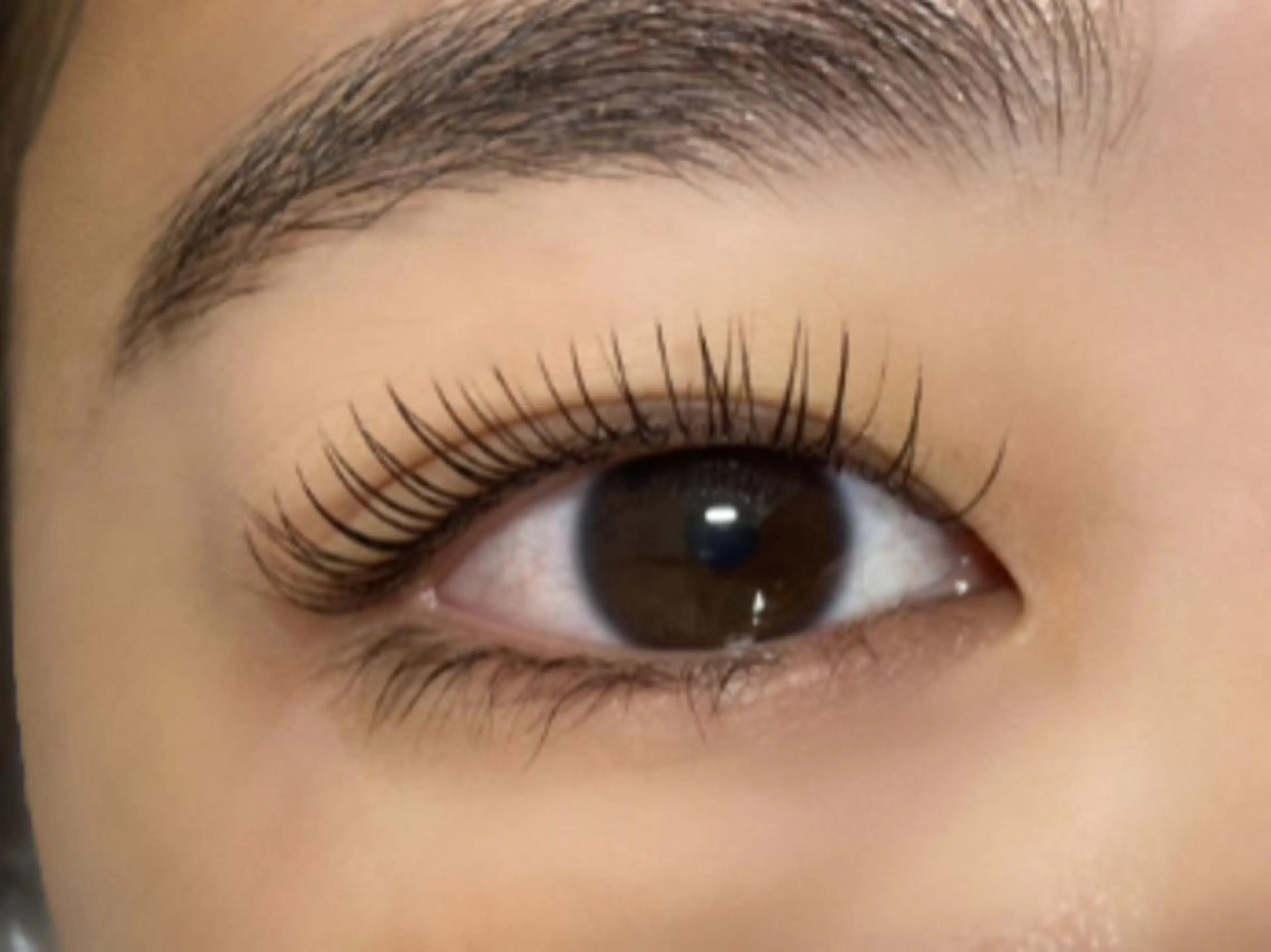 マツエク・マツパ マツエク Lupinus 長澤のマツエク・マツパデザイン