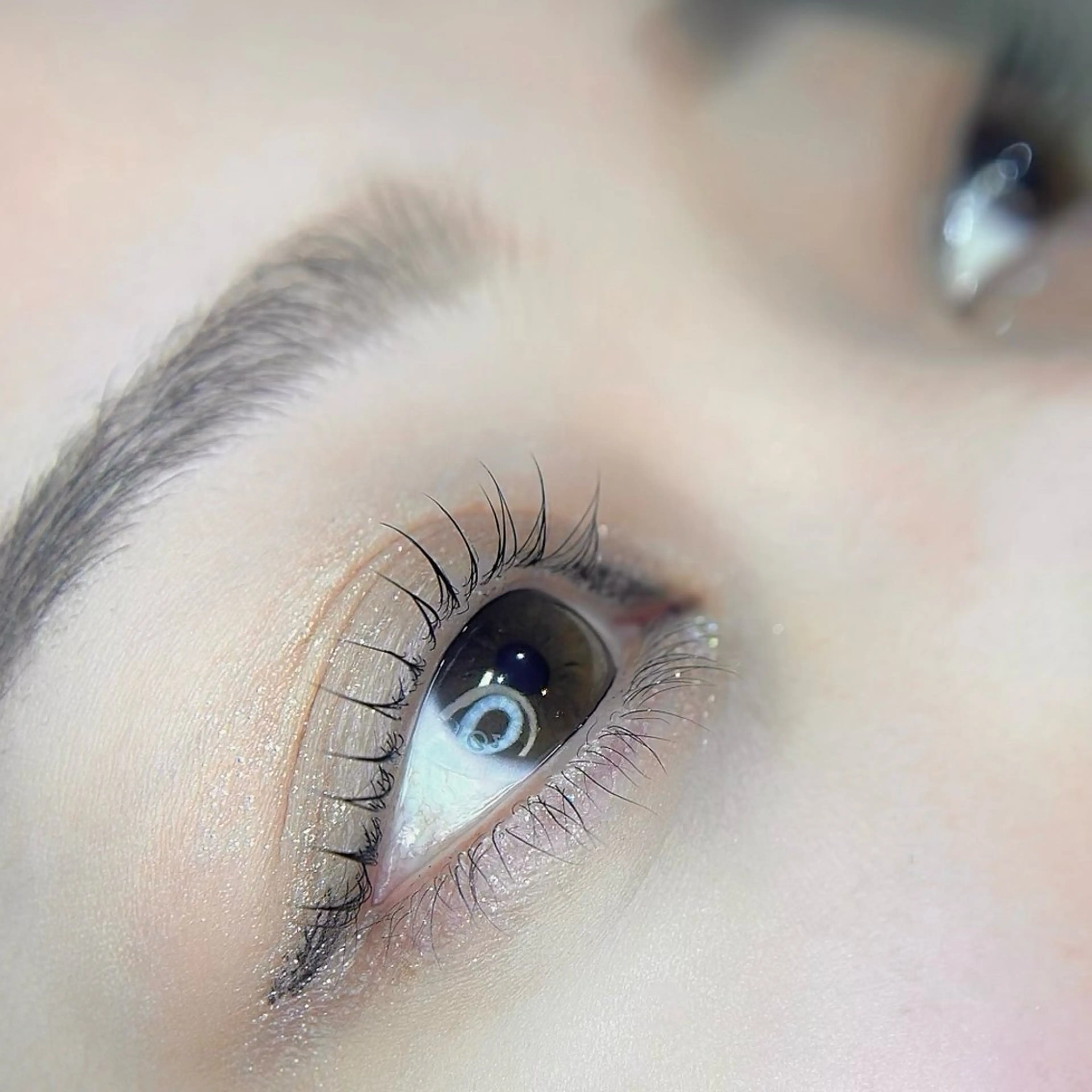 当日予約限定🌷パーソナルデザインまつ毛パーマの写真