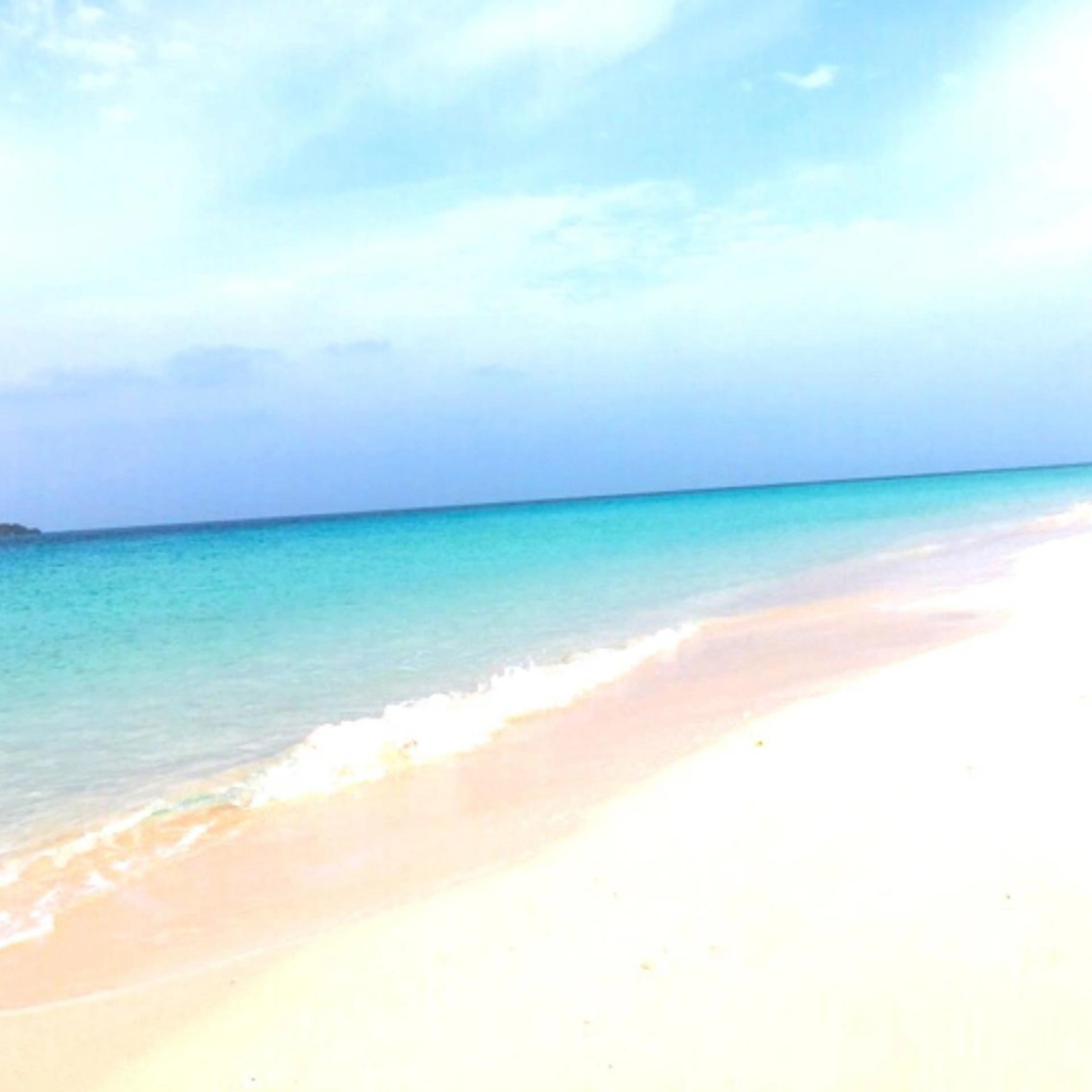 レディース部分脱毛1部位の写真