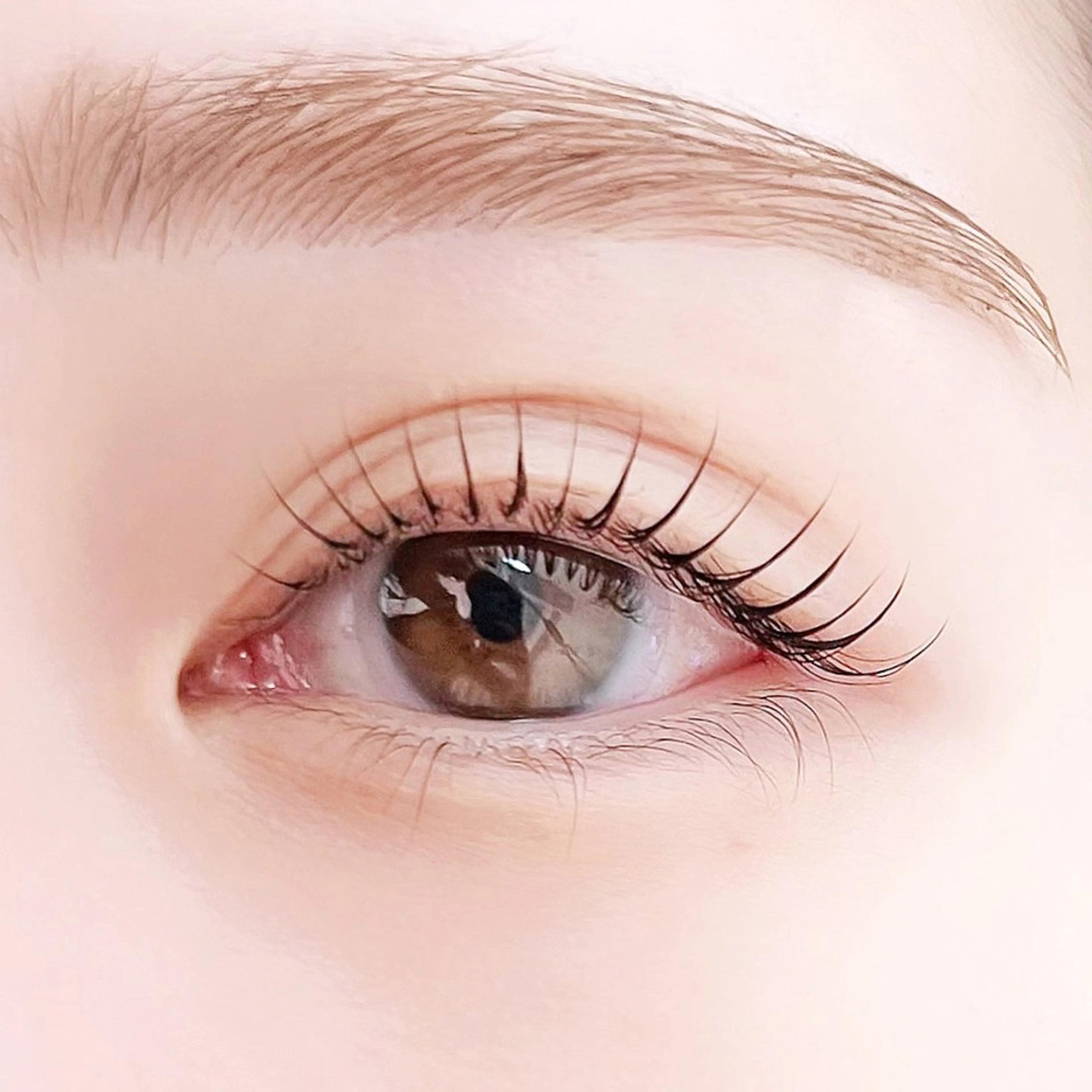 ✨️人気メニュー✨️パリジェンヌor韓国風まつ毛パーマ（束感コーティング、トリートメント付）の写真