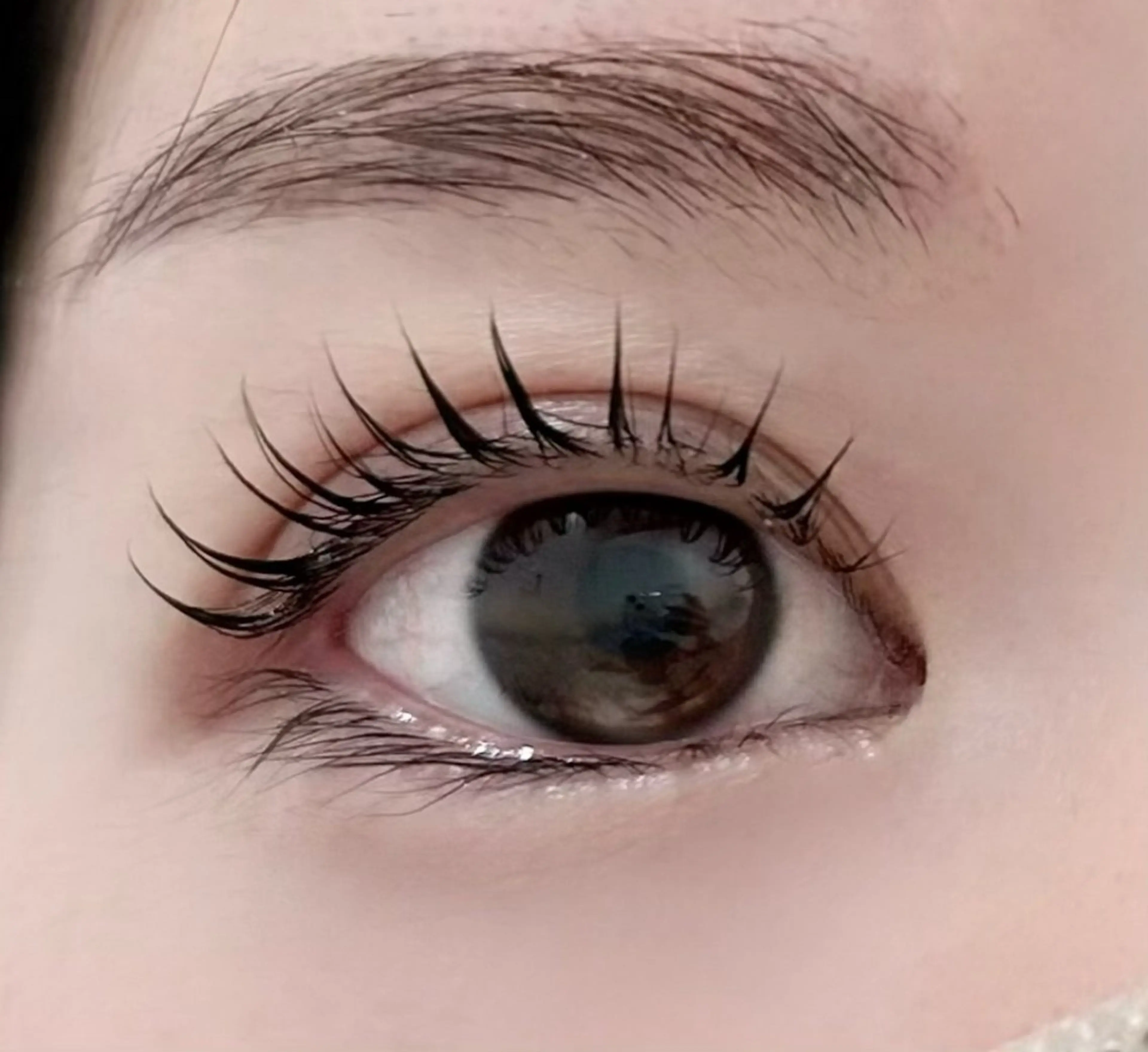 🎀90分無料メーテルラッシュリフト【9時、10時半、12時、14時半、16時以外の予約は受け付けません】の写真