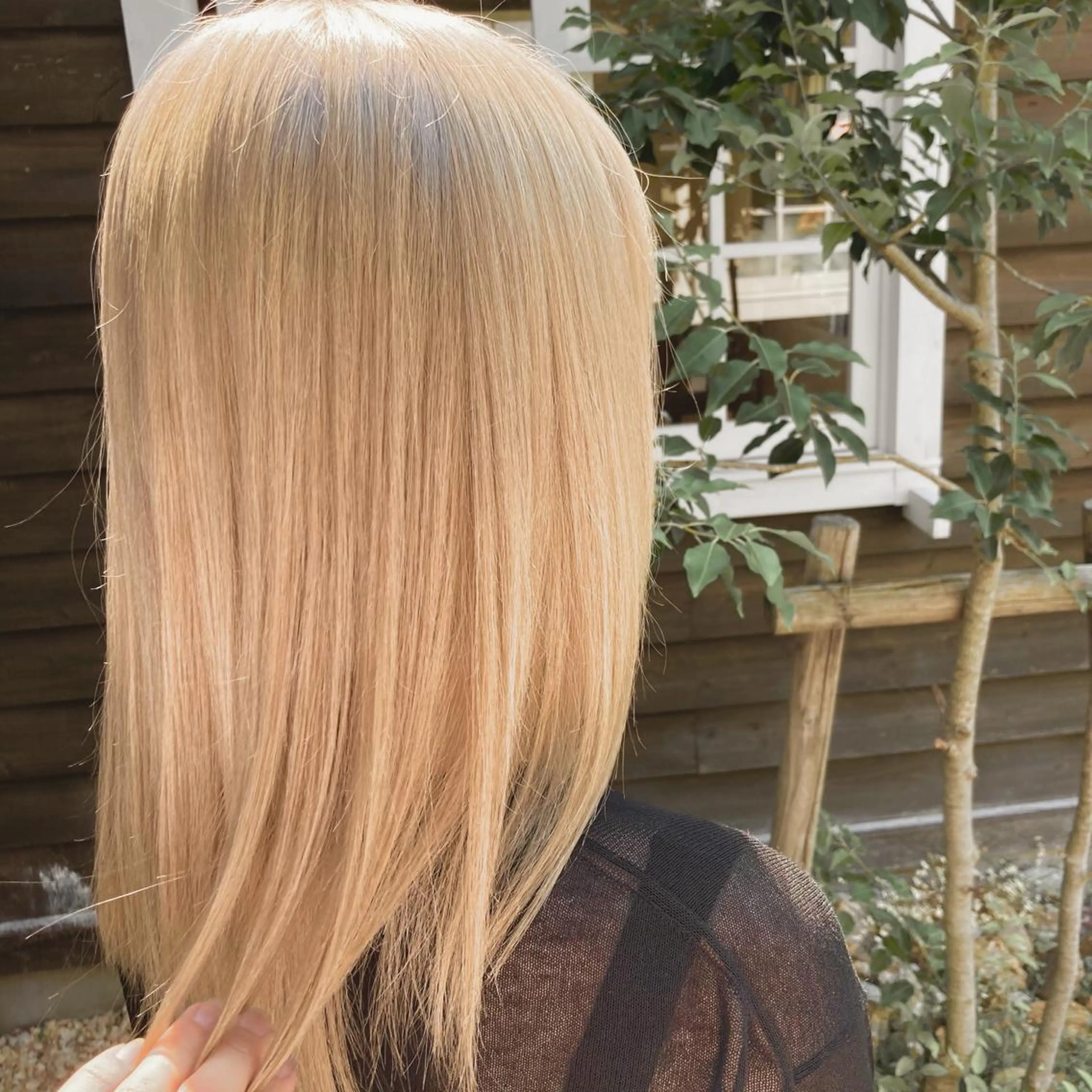 ロング カラー スタイリスト　田中 美雄のヘアスタイル