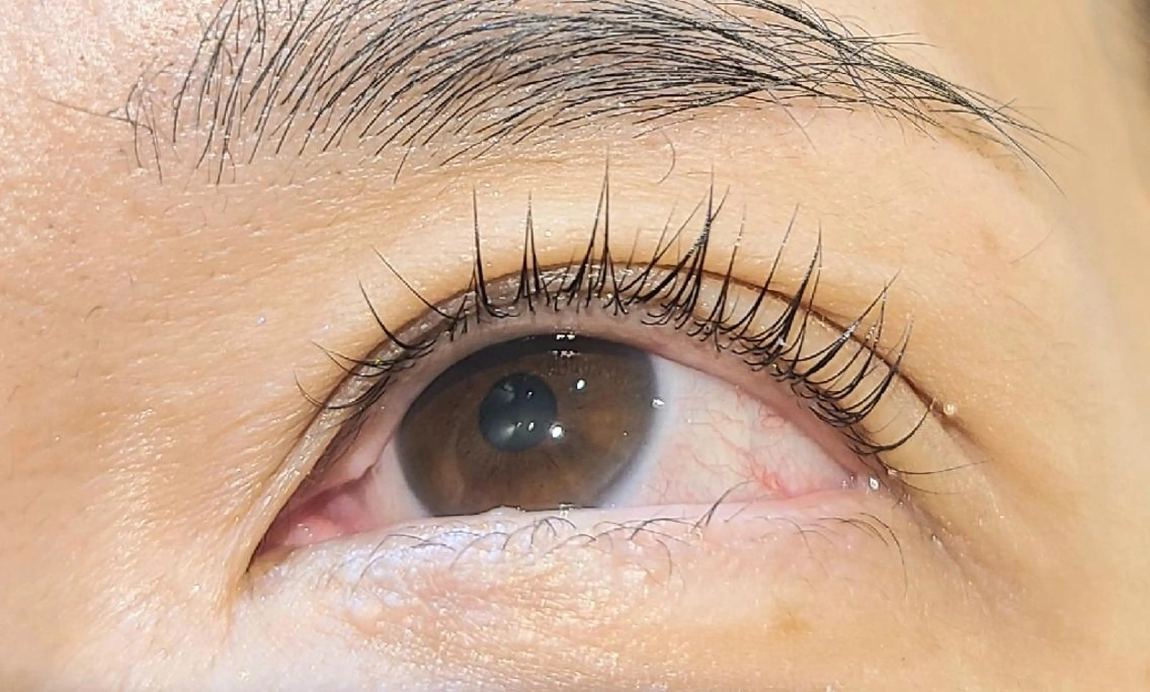 マツエク・マツパ パリジェンヌラッシュリフト LASH BAR天王寺店所属・LASH BAR  友久のマツエク・マツパデザイン