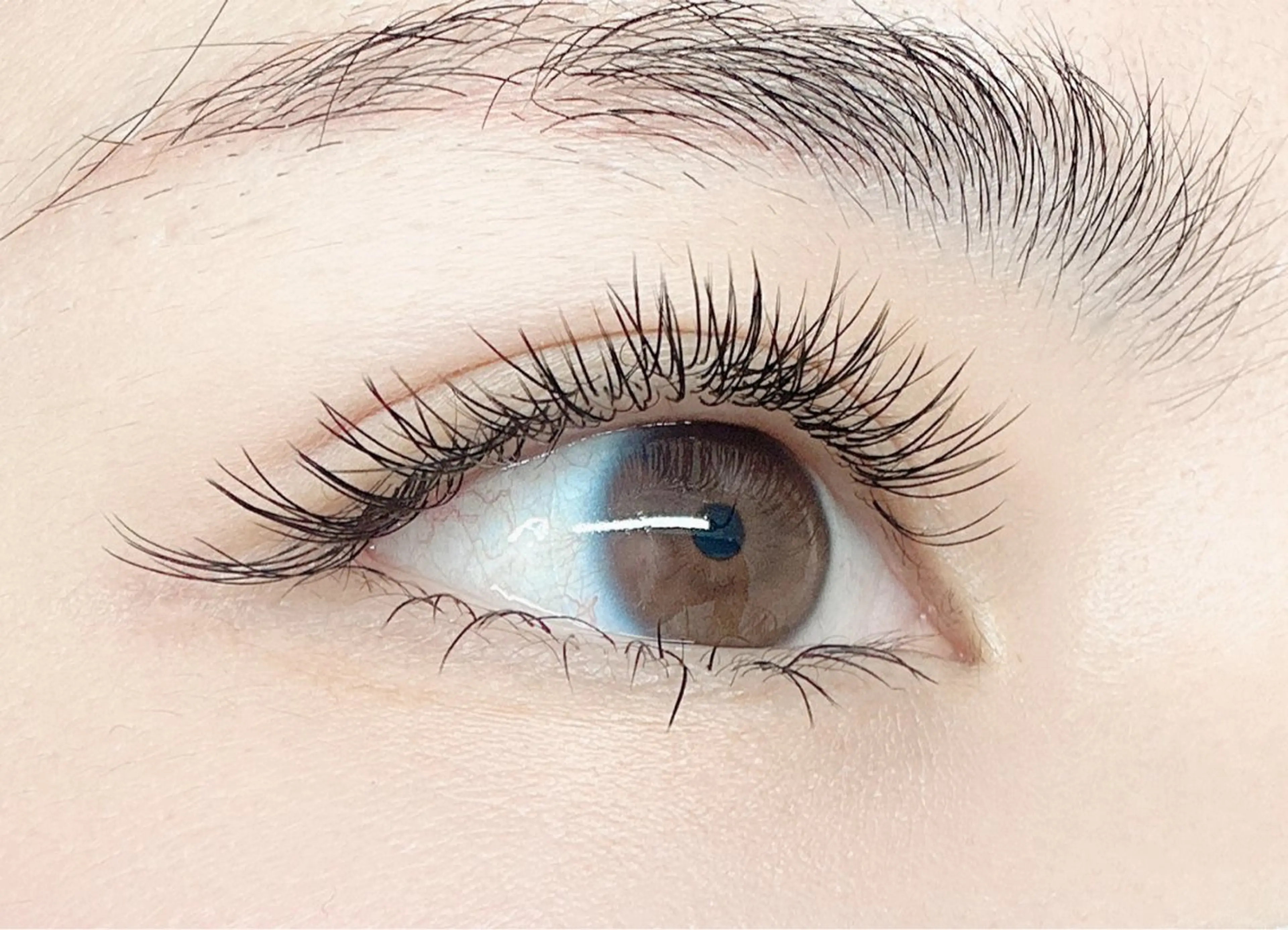 【🌸付け足しのみ】持続力次世代バインドロック40束コーティング付の写真