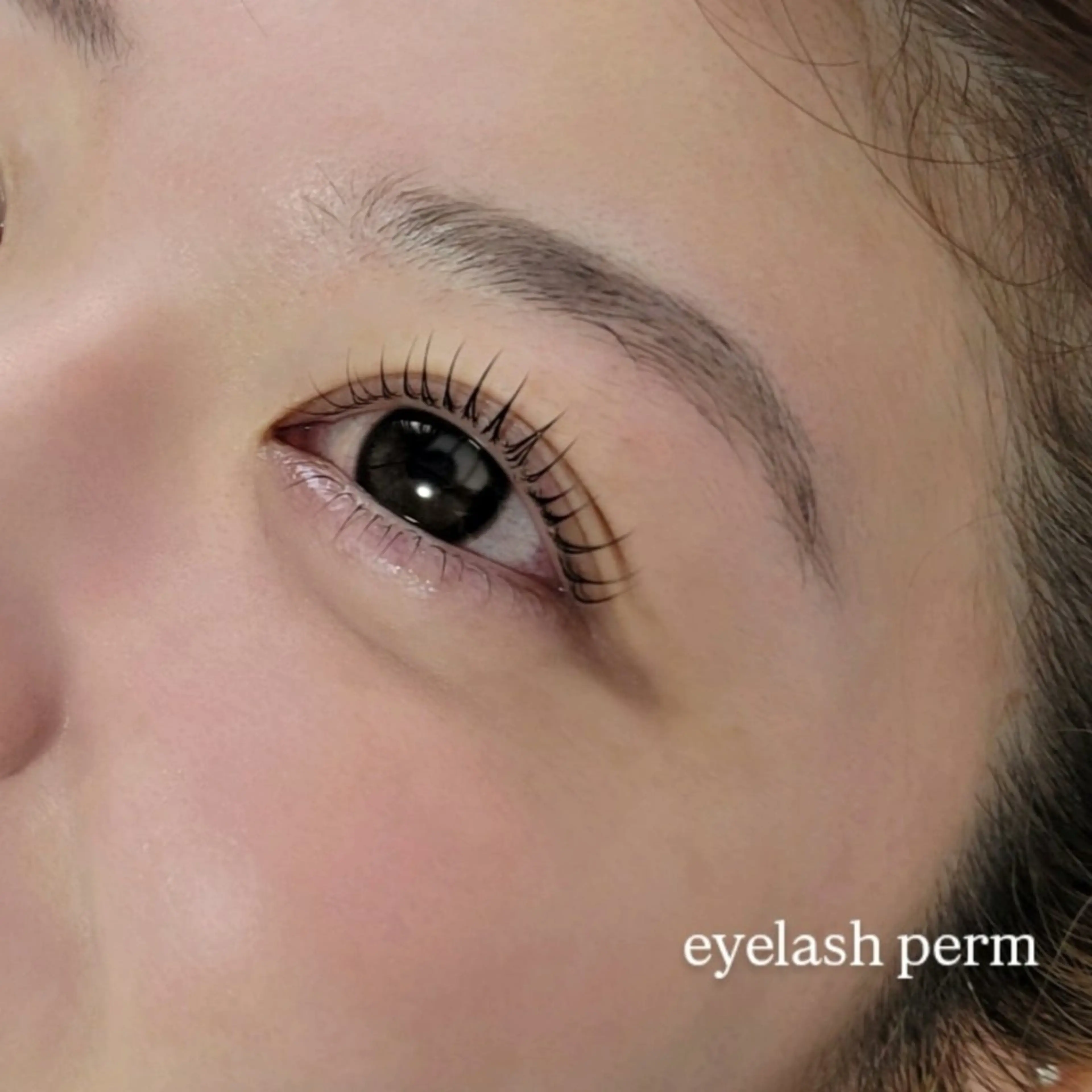 🌷~12/31まで🌷『上下まつげパーマ(tr付)』💎ケラチントリートメント+1000の写真