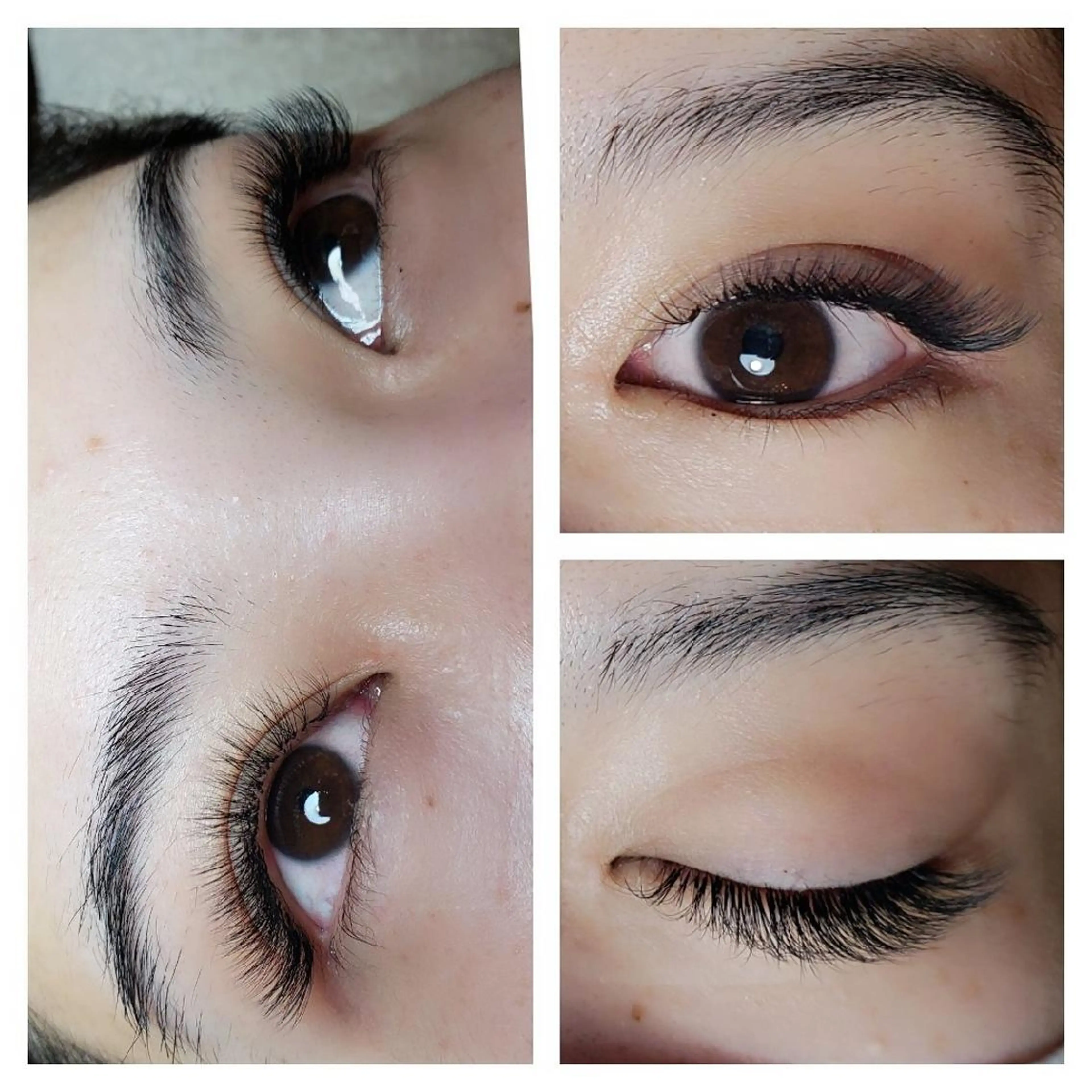 マツエク・マツパ ナチュラル ボリュームラッシュ マツエク Rouge ・ K  　のマツエク・マツパデザイン