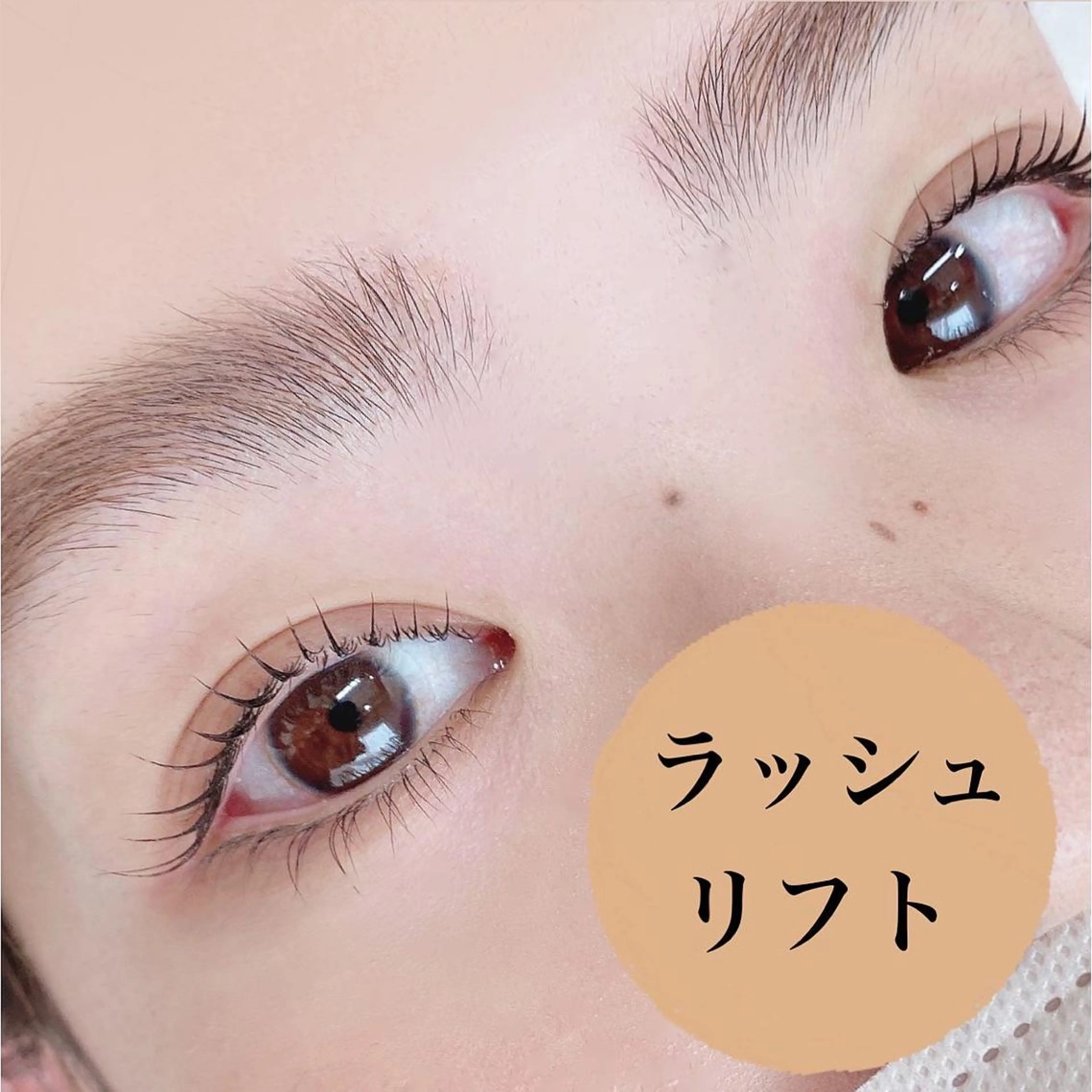 マツエク・マツパ 一重×まつ毛パーマ miho【吉祥寺】 ★プライベートサロンのマツエク・マツパデザイン