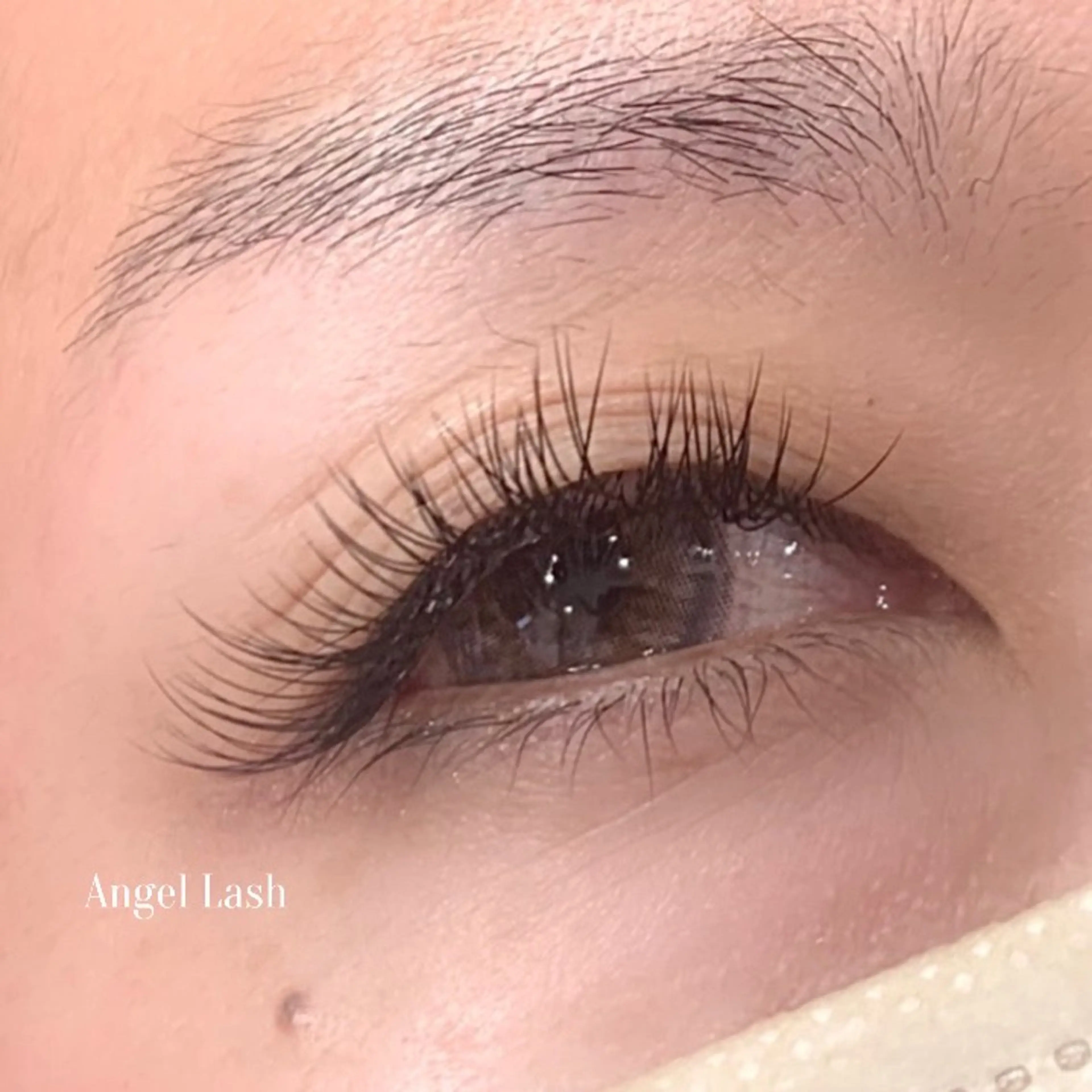 マツエク・マツパ 付け放題 Cカール フラットラッシュ THE EYEBROW 「ザ・アイブロウ」大宮店所属・sugimachi 🦋のマツエク・マツパデザイン