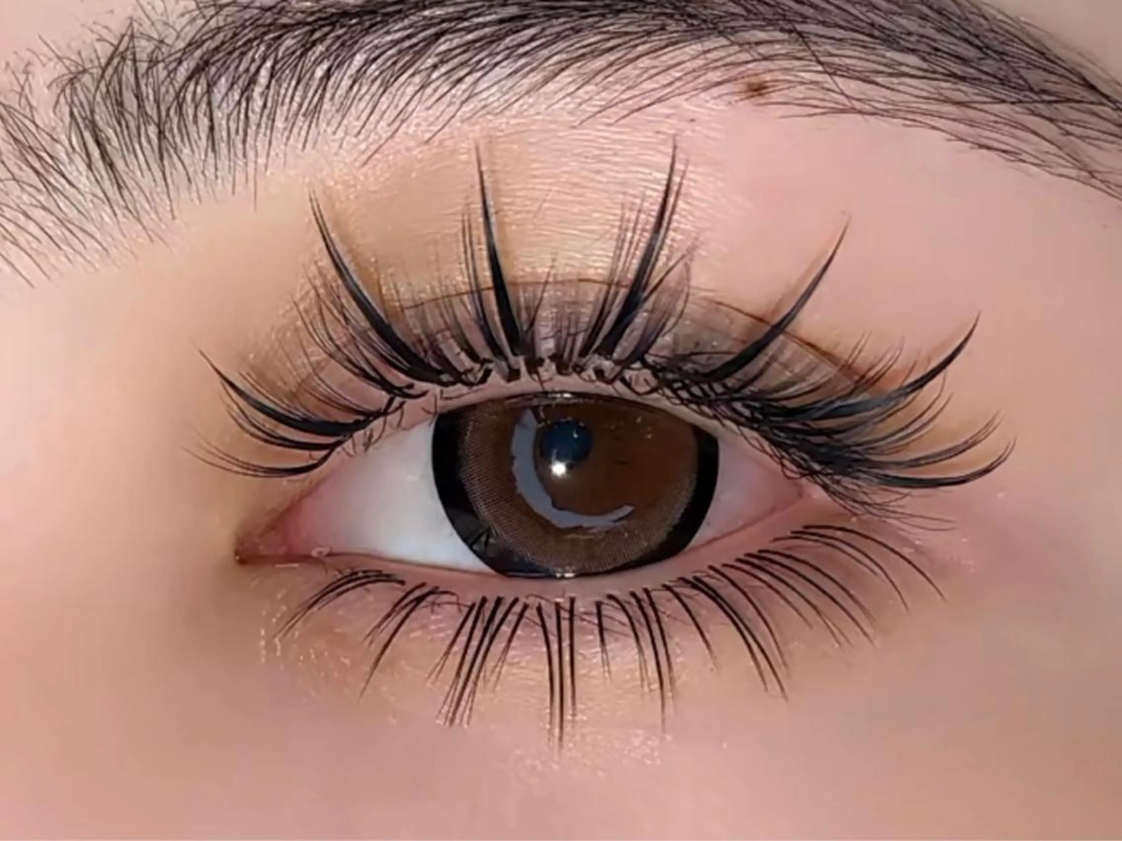 ✨初回オフ無料✨タイ式ワンホンデザイン160束の写真