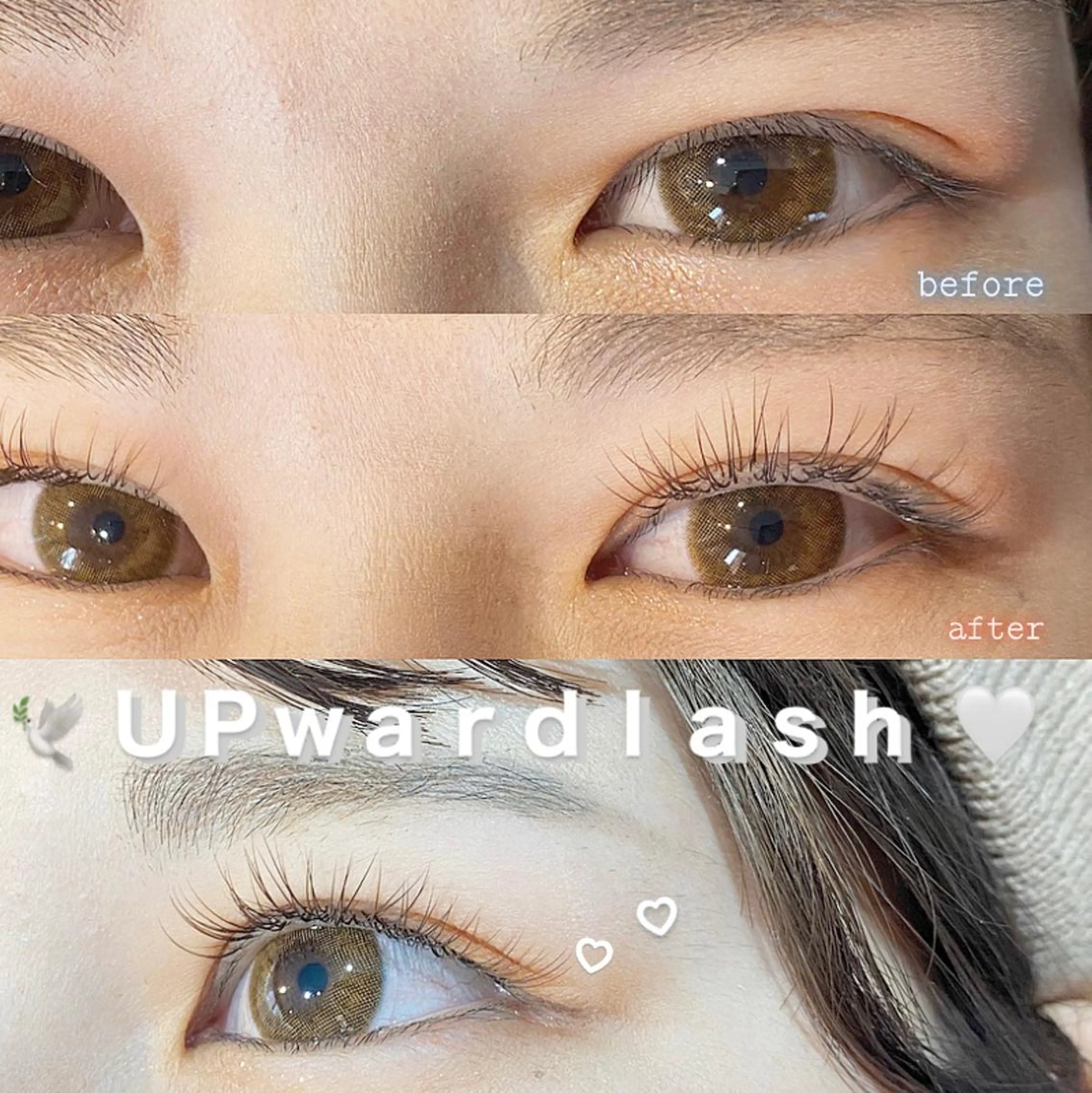 マツエク・マツパ Cカール カラーマツエク アップワードラッシュ 関口あや 🖤Be__ 中目黒のマツエク・マツパデザイン