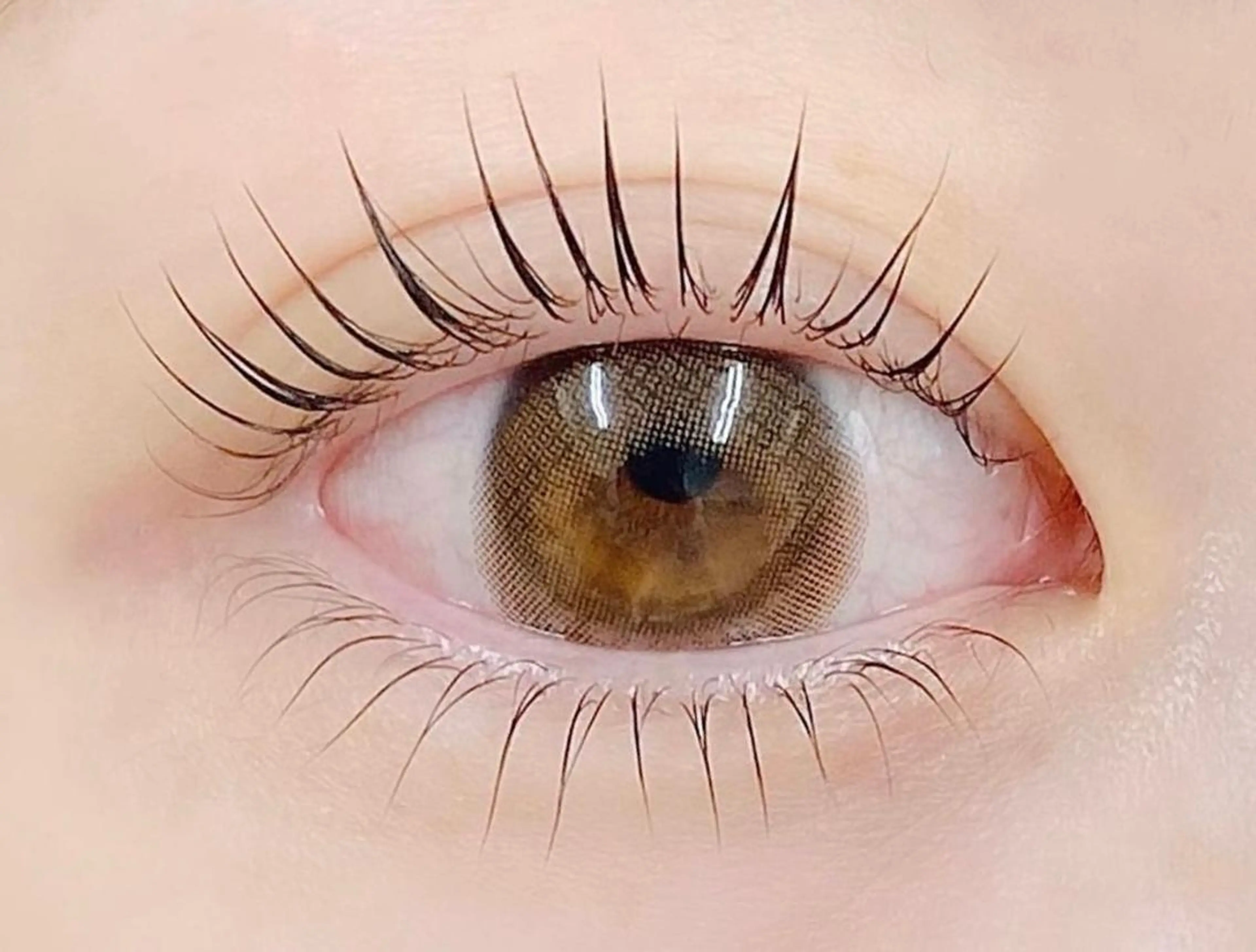 パリジェンヌラッシュリフト※エクステオフがある方はメッセージにてお知らせくださいオフ代¥500の写真