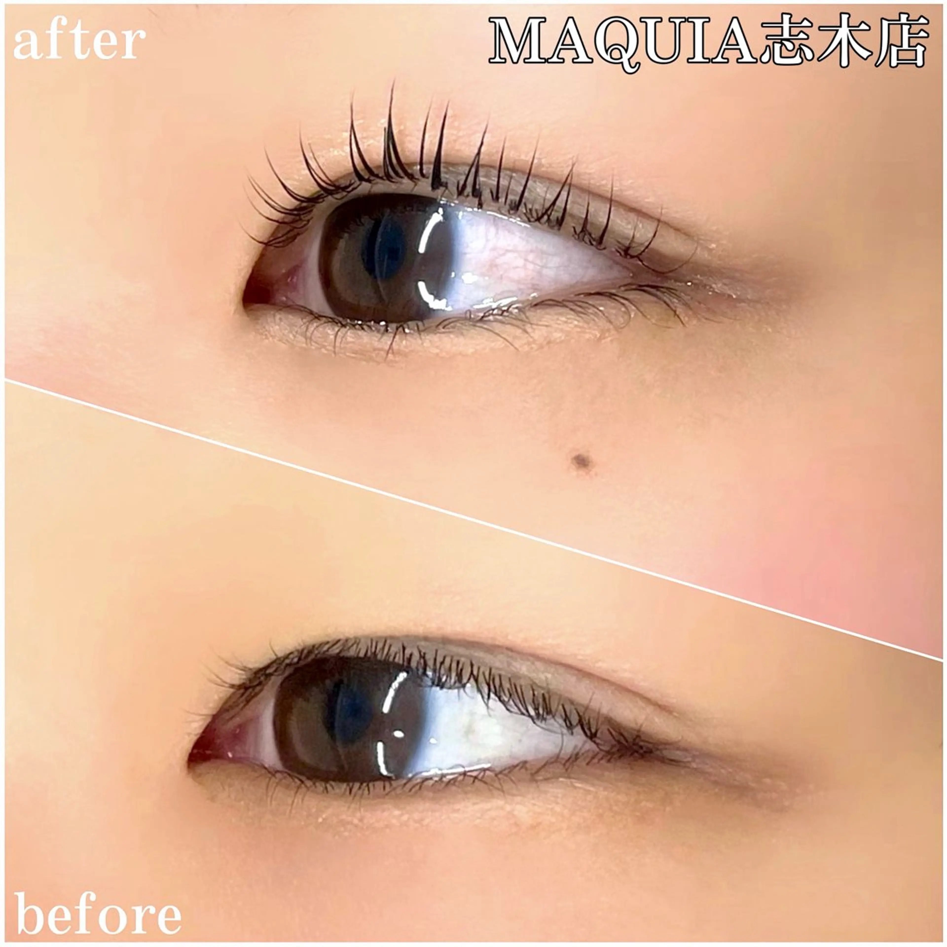 マツエク・マツパ パリジェンヌラッシュリフト MAQUIA 志木店 並木の眉毛・アイブロウイメージ