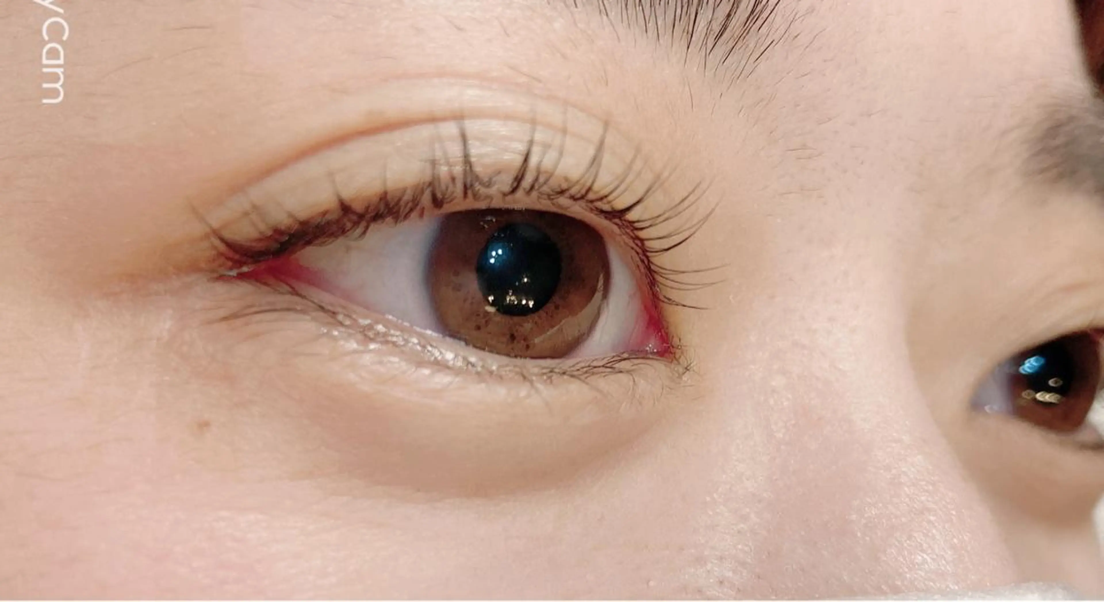 マツエク・マツパ ケラチンラッシュリフト .ula 𝑨𝒚𝒂𝒌𝒂のマツエク・マツパデザイン