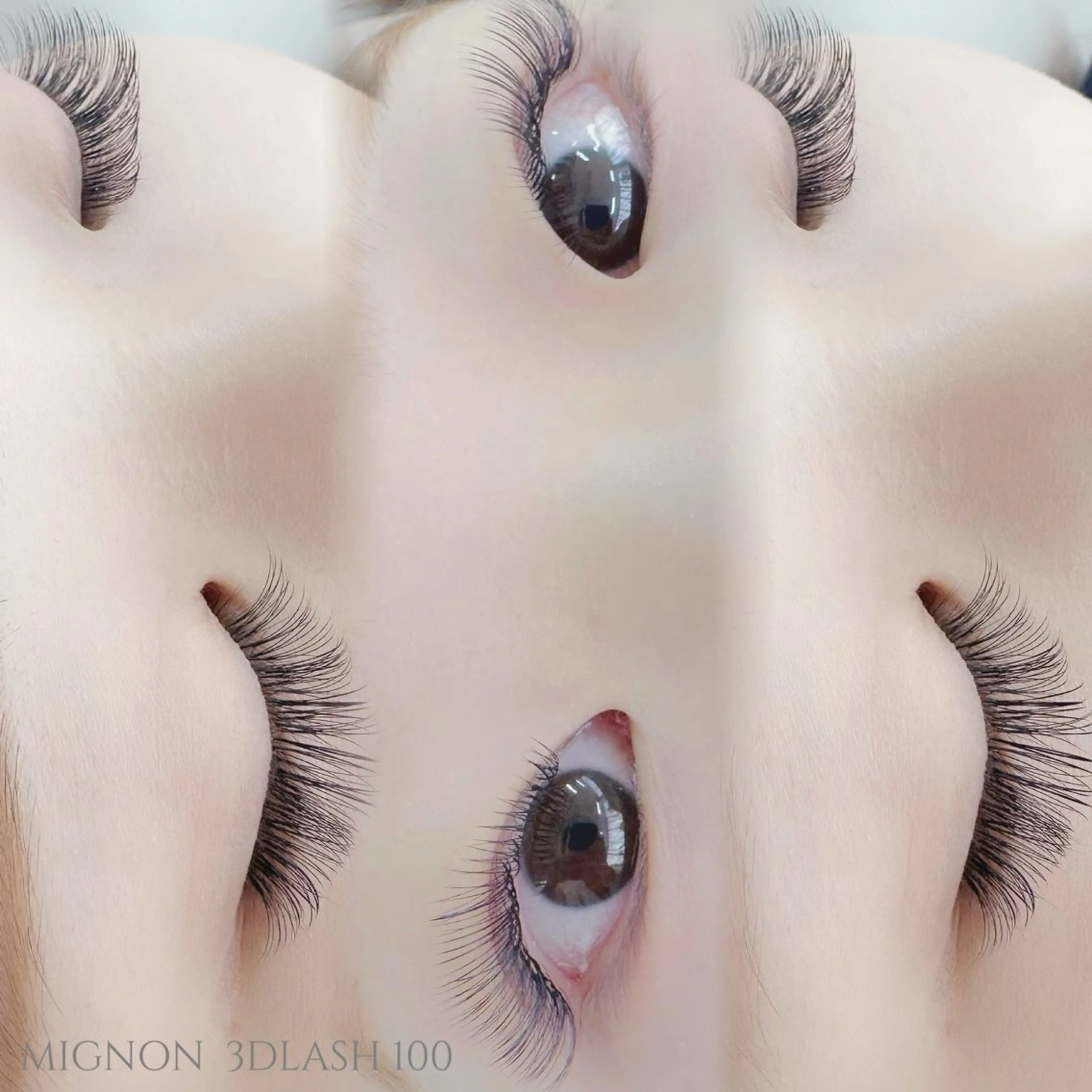 【新規】持続力UP🌟LEDエクステ  3Dラッシュ100束(300本)【オフ込み】の写真