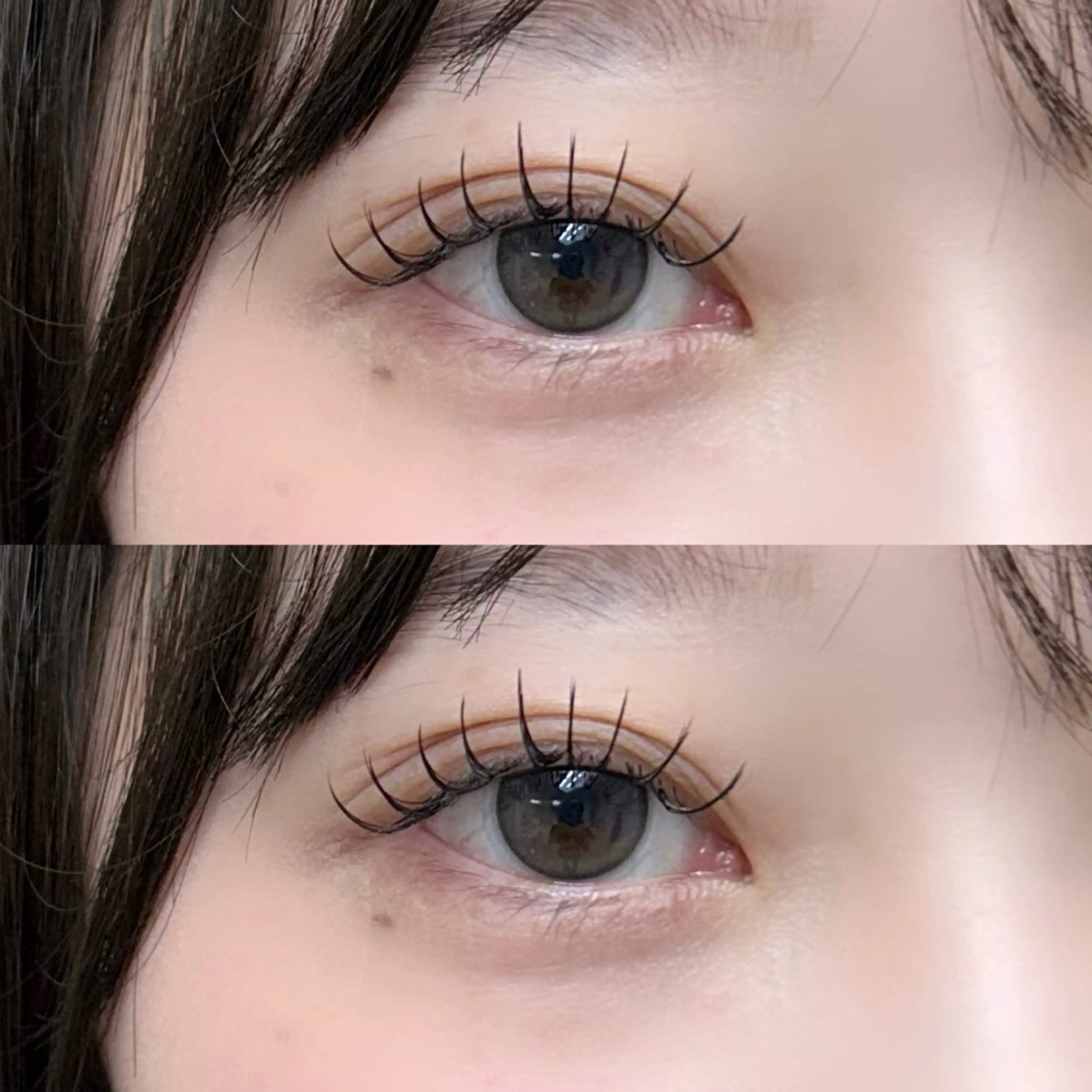 🎀ミニモ限定🎀‪‪‪‪ ‪‪❤︎‬‬‬ シングルラッシュ100本【LEDグルー変更+1500円】の写真