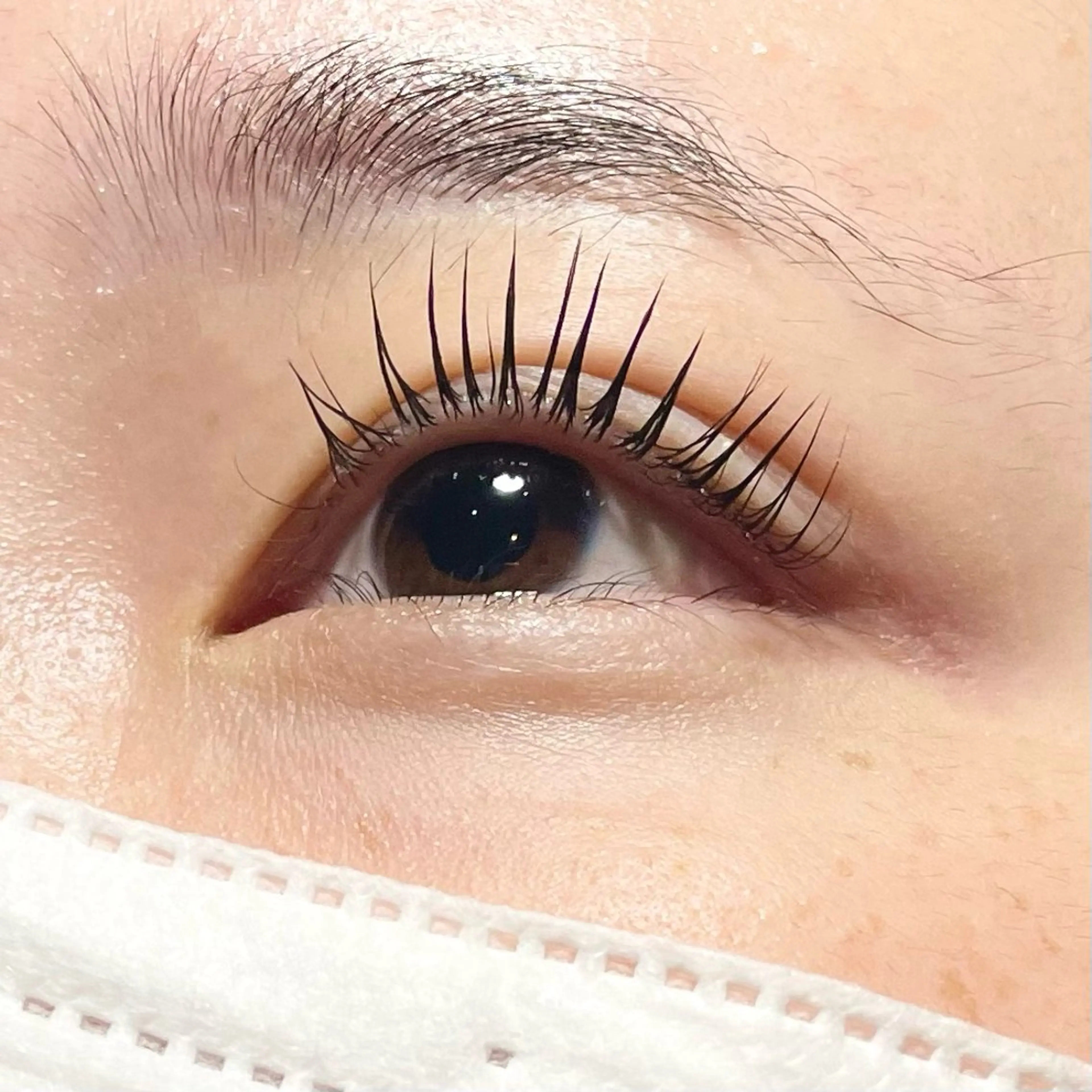 【新規限定】🍓まつ毛カール🍀コーティング込み🍓（土日祝+550円）の写真