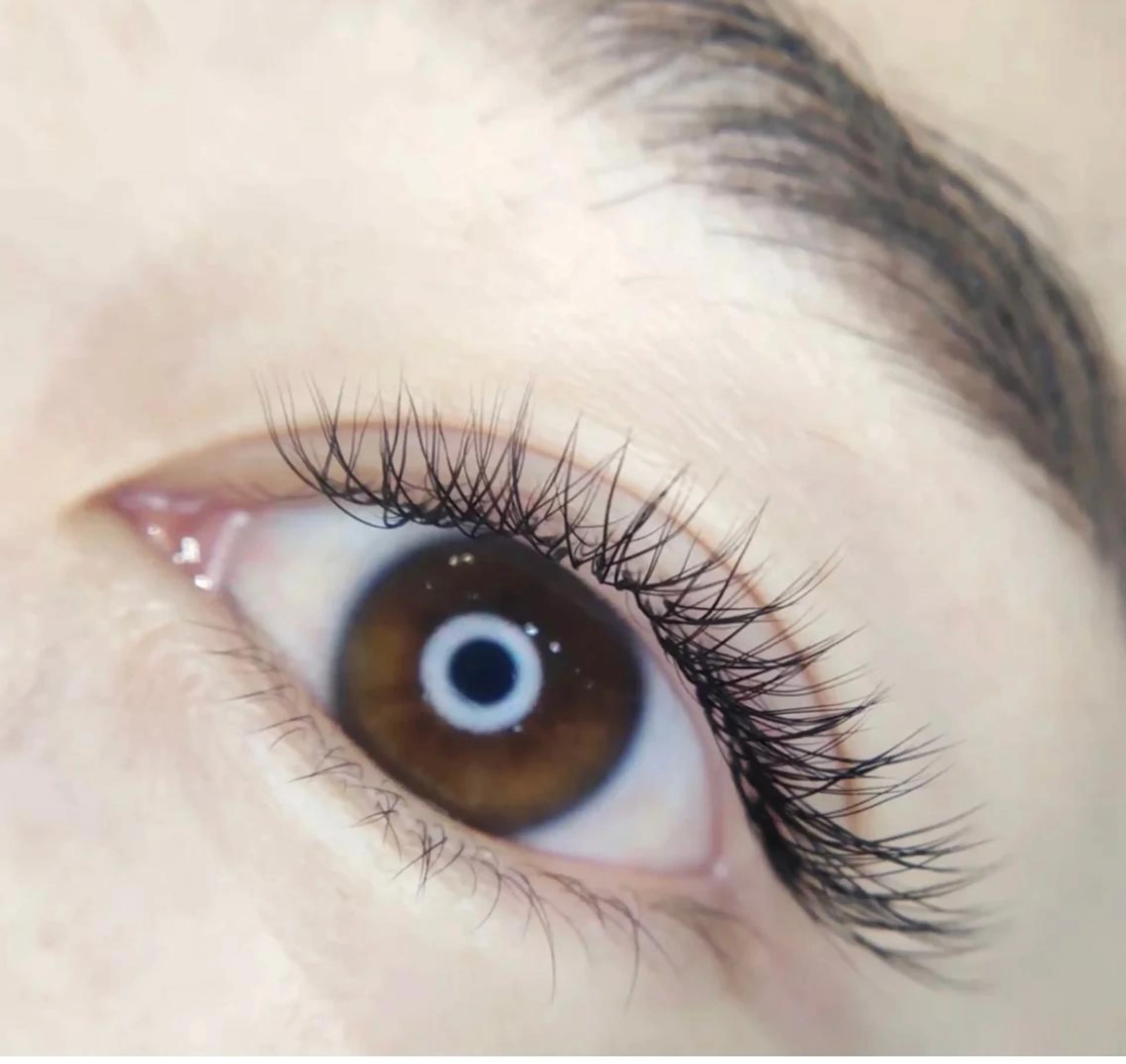 🉐平日限定🥰Y型ラッシュ80束（オフなし）の写真