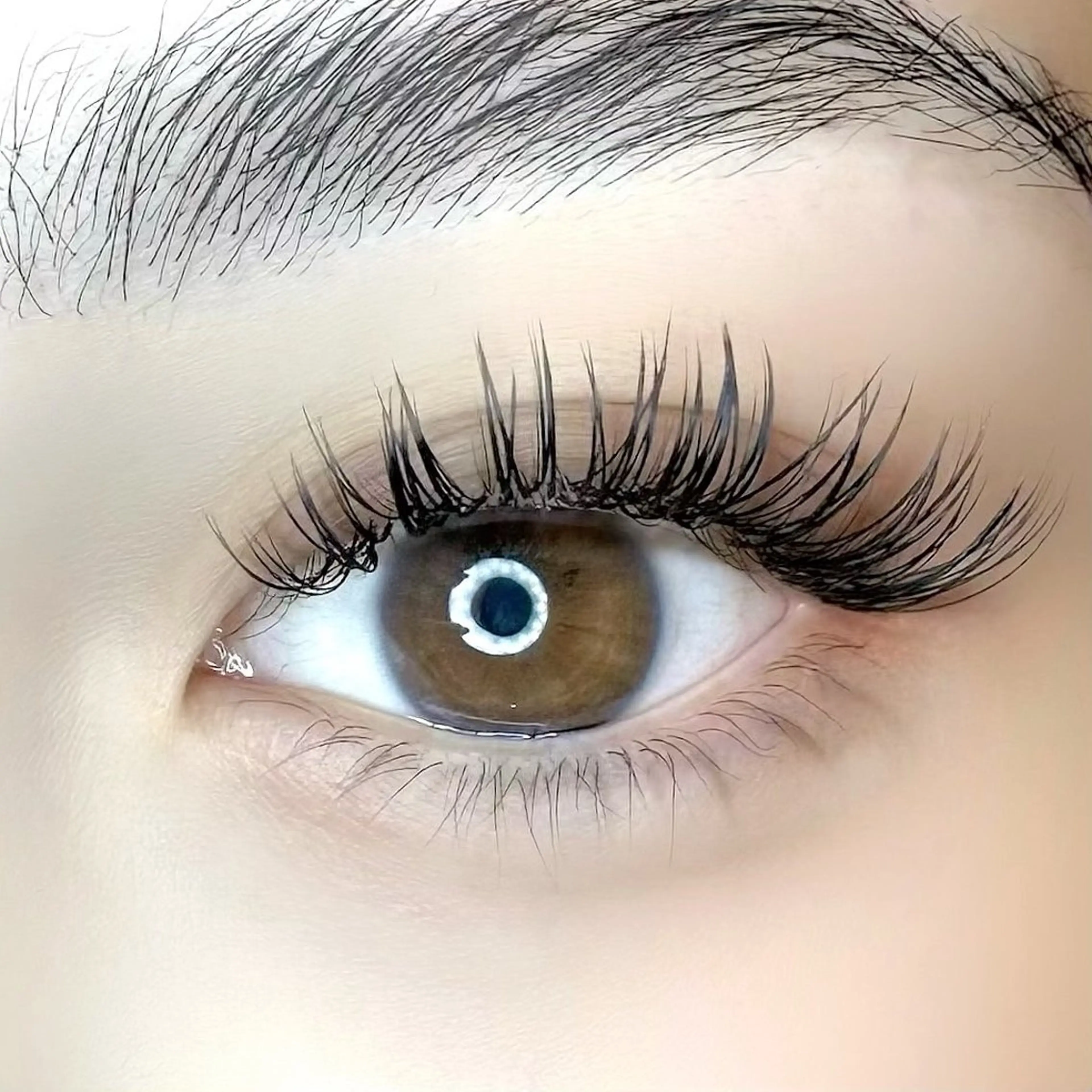 🌺バインドロック　60束🌺の写真