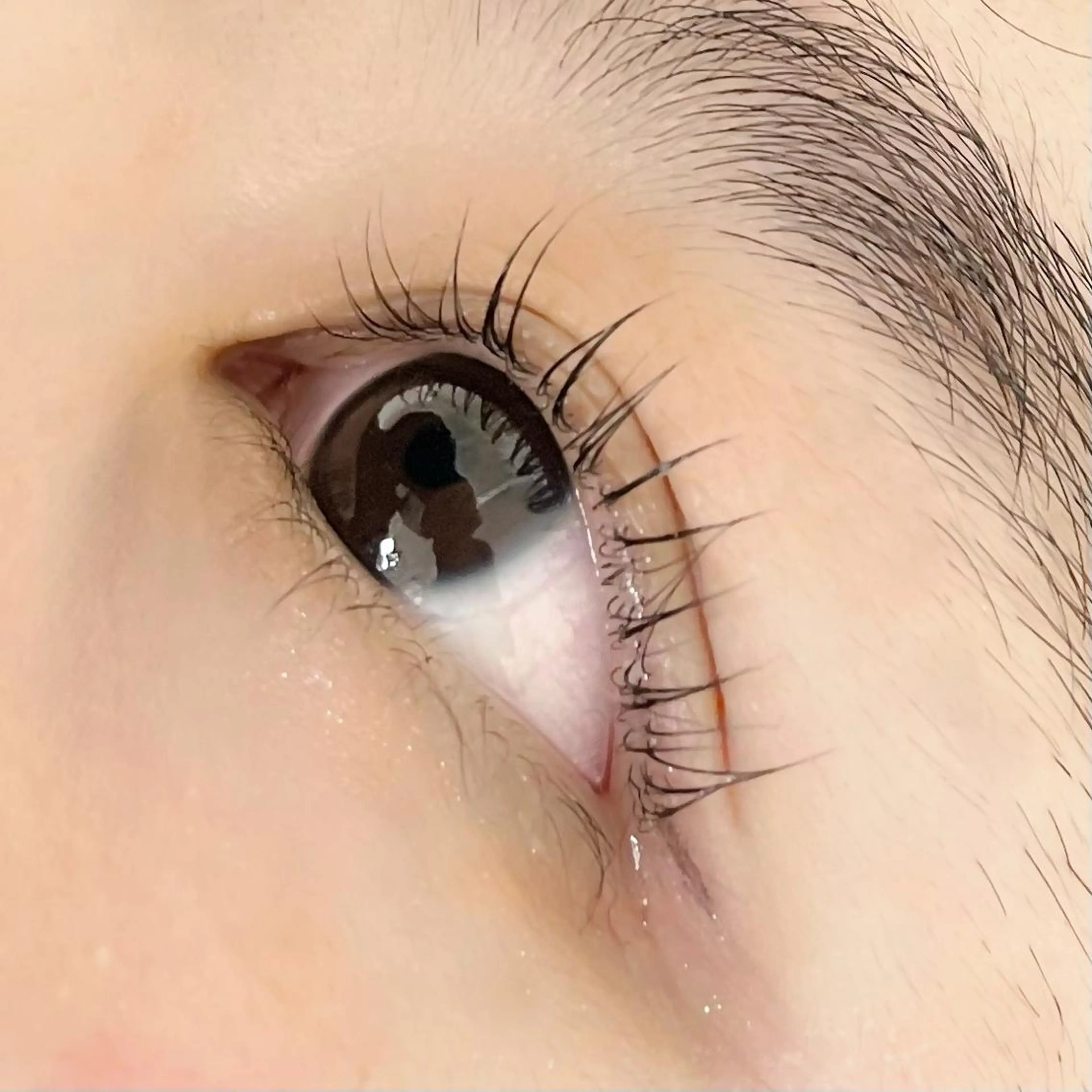 マツエク・マツパ パリジェンヌラッシュリフト 🫧bianca ARAI🫧のマツエク・マツパデザイン