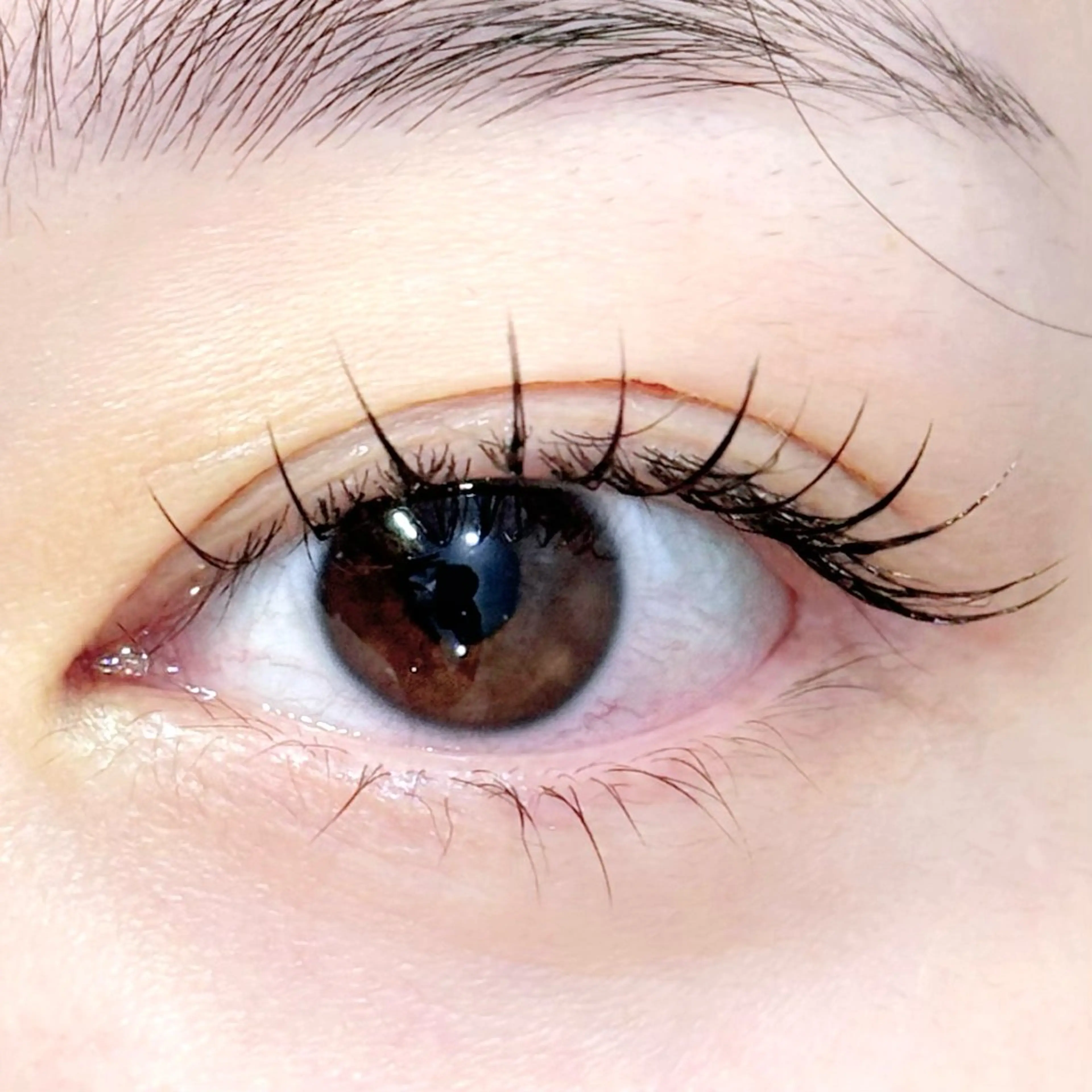 マツエク・マツパ マツエク La SHE's  高槻店所属・【La SHE's】 KANAME🪽✨のマツエク・マツパデザイン