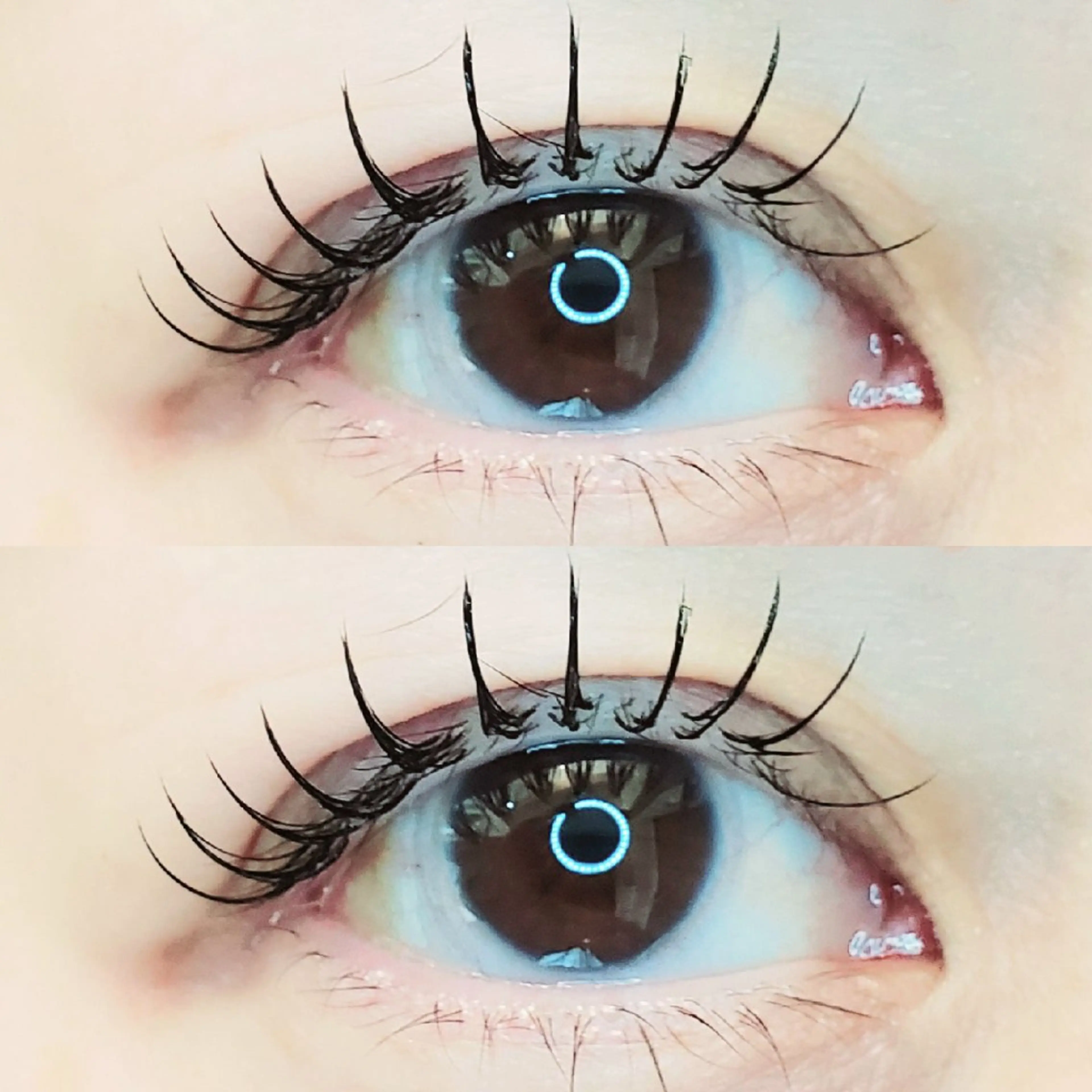 ≪新規≫ 新登場☆●フラットエクステ● 上100本の写真