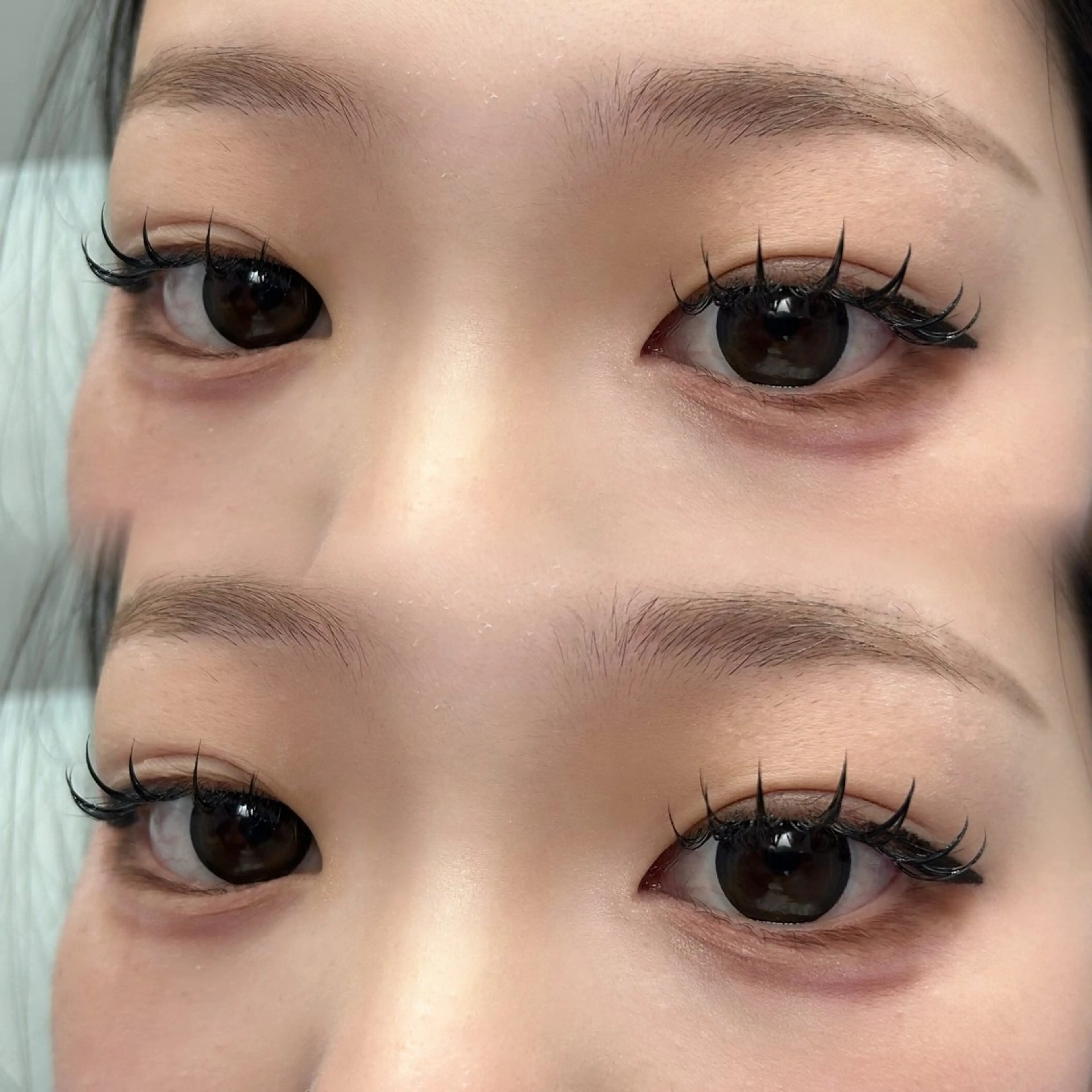 パリエクLED100本🍁🍂🐈‍⬛【束感コーティング付き】の写真