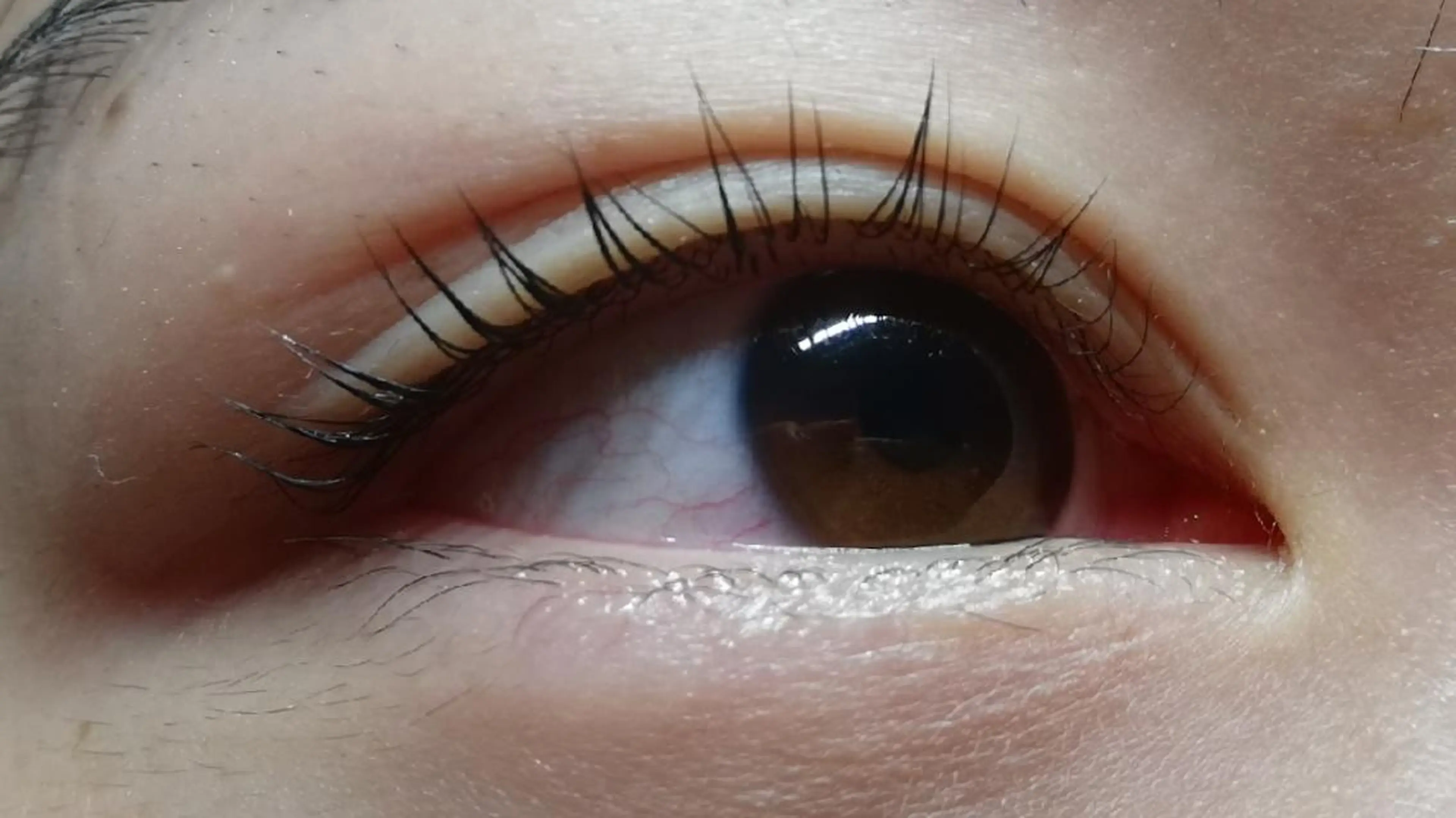 マツエク・マツパ angelux 所属・完全個室サロン🌹 angelux🌹のマツエク・マツパデザイン