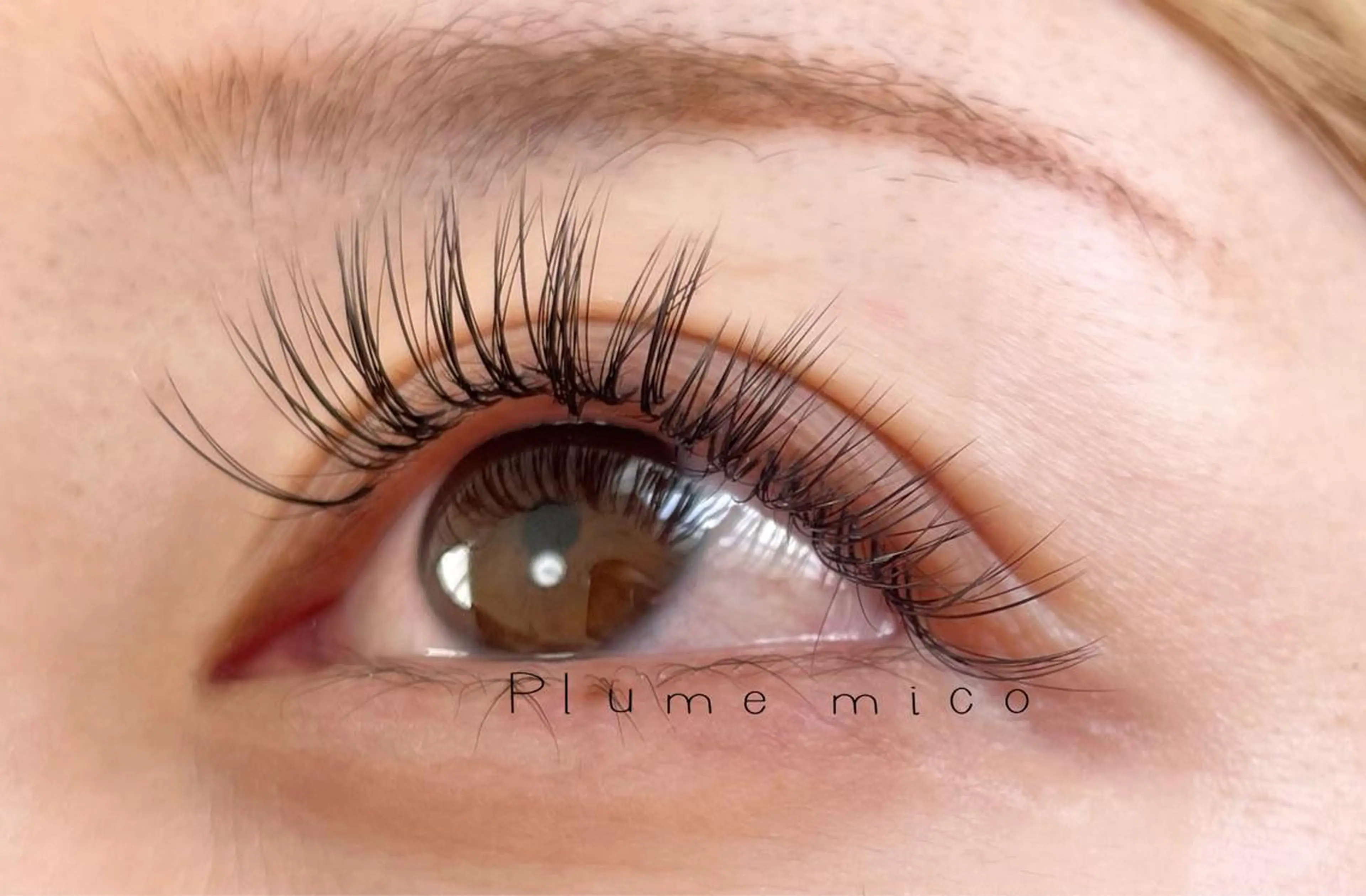 マツエク・マツパ マツエク Plume micoのマツエク・マツパデザイン