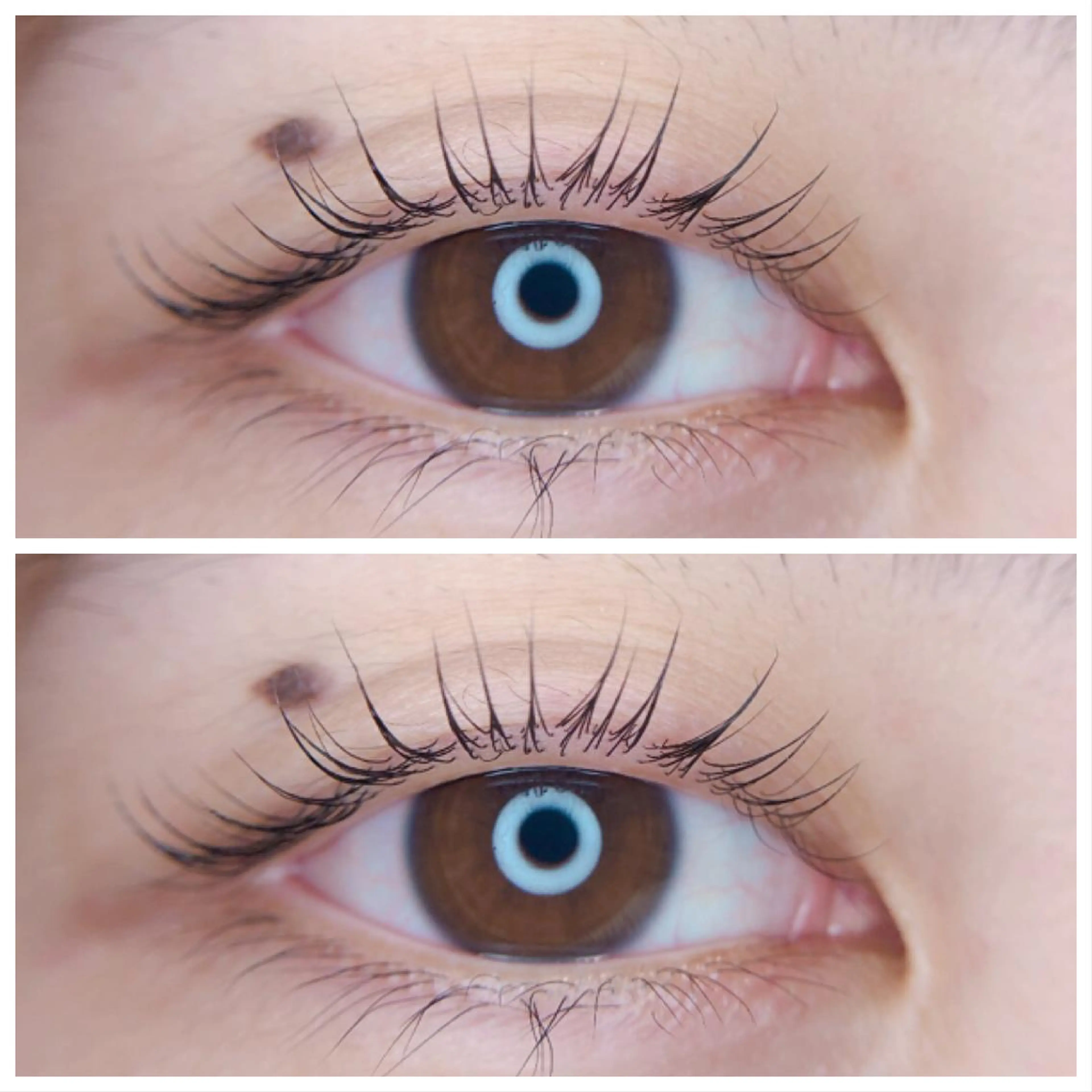 マツエク・マツパ 一重×まつ毛パーマ 【hisui】長尾 ゆかりのマツエク・マツパデザイン