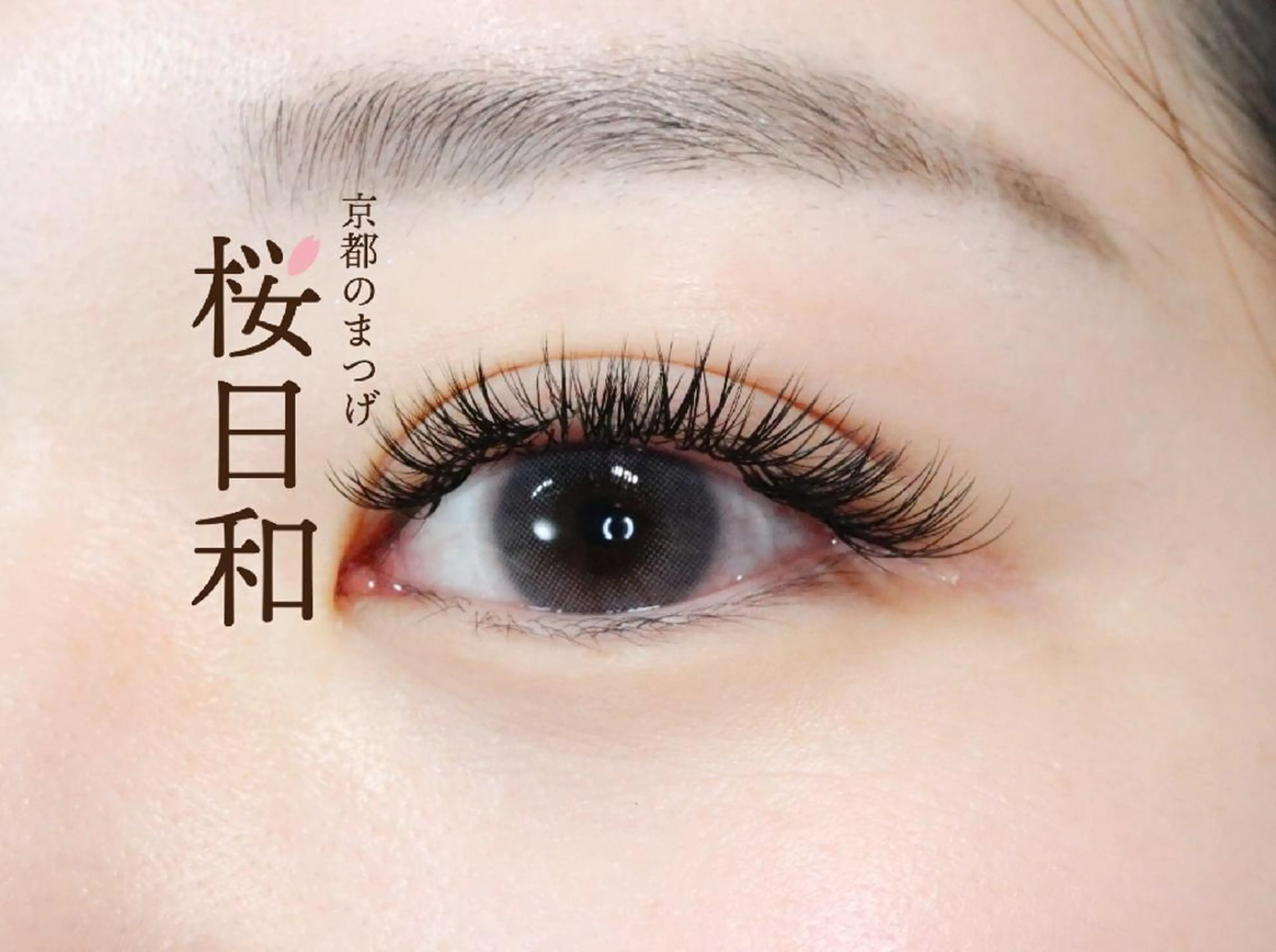 マツエク・マツパ フラットラッシュ ナチュラル まつげパーマ 一重×まつ毛パーマ ボリュームラッシュ 京都のまつげ桜日和 小島美桜のマツエク・マツパデザイン