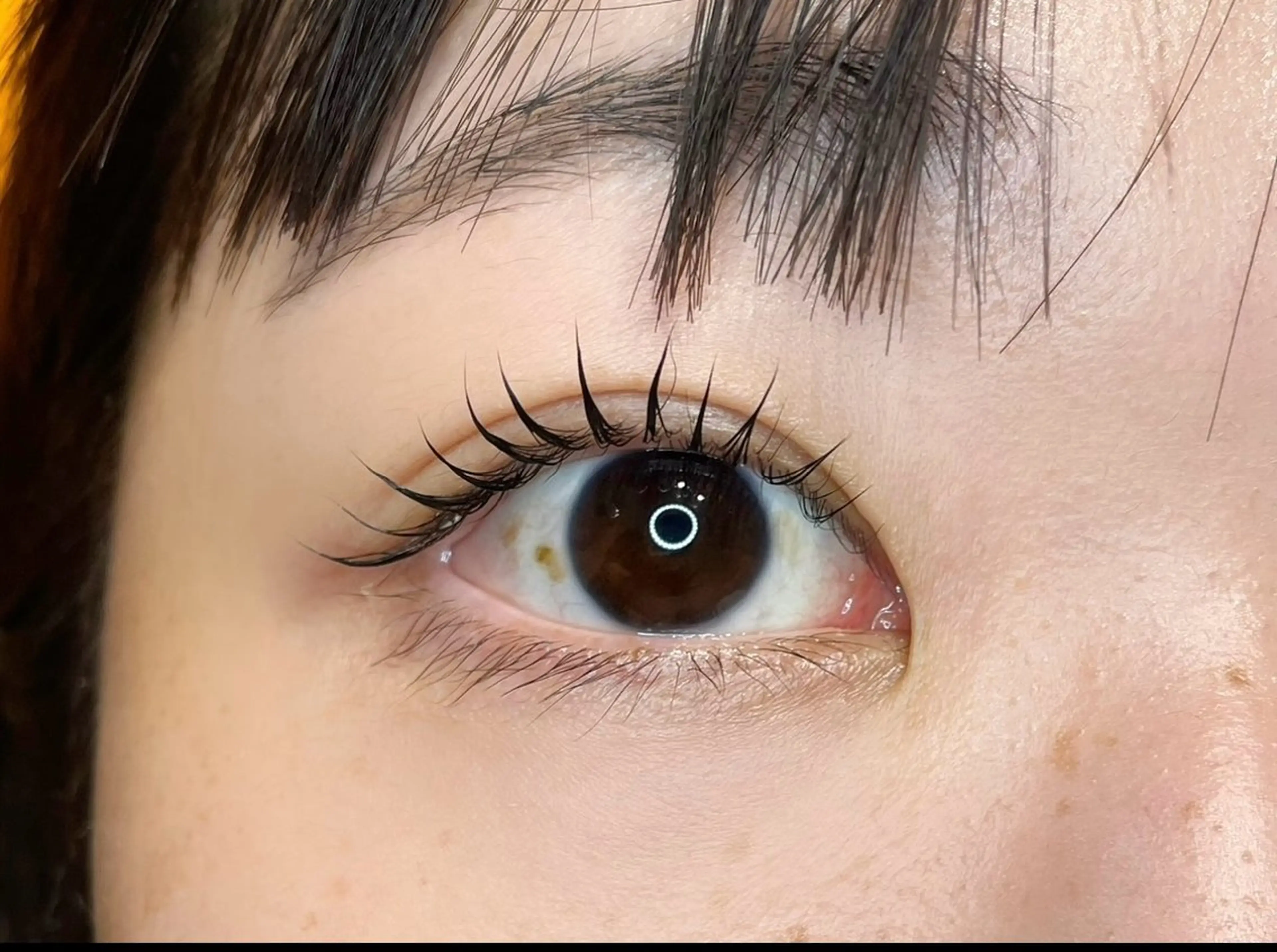 マツエク・マツパ カルフールノア　府中所属・まつげパーマ専門店 /カルフールノア府中の眉毛・アイブロウイメージ