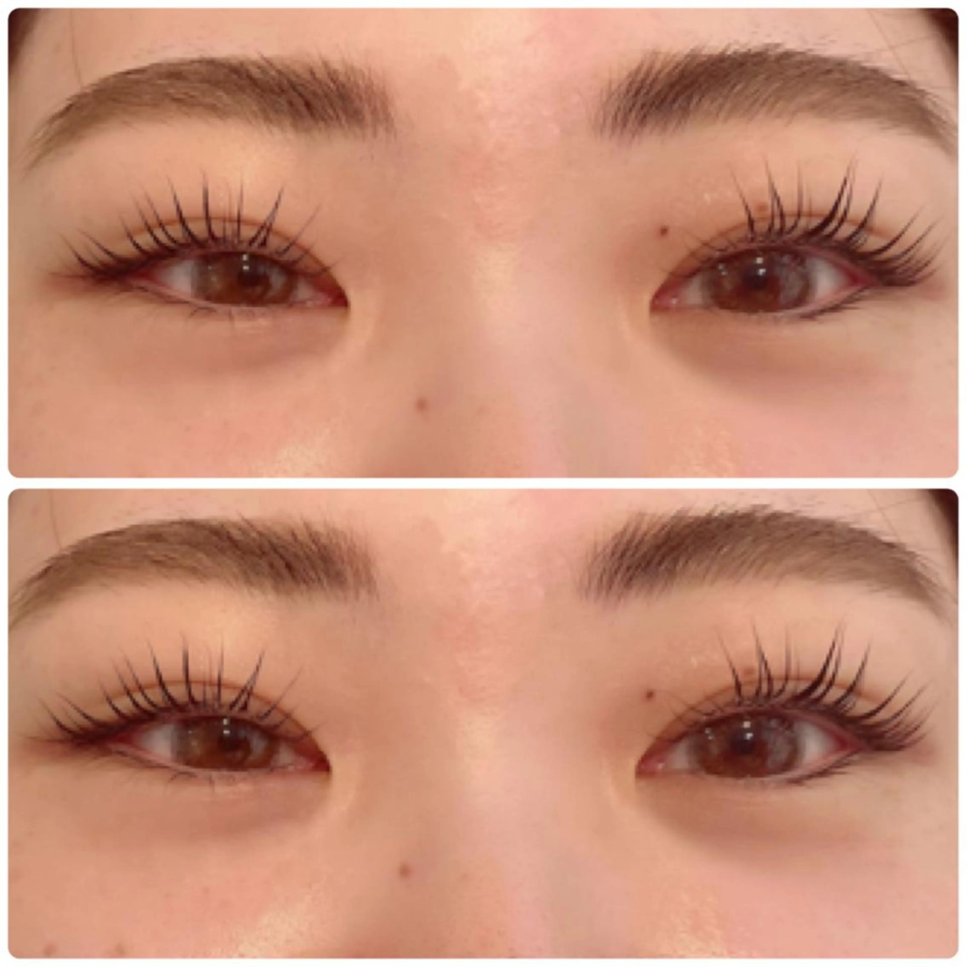 マツエク・マツパ Dityca...栄店所属・Takeyama yukinaのマツエク・マツパデザイン