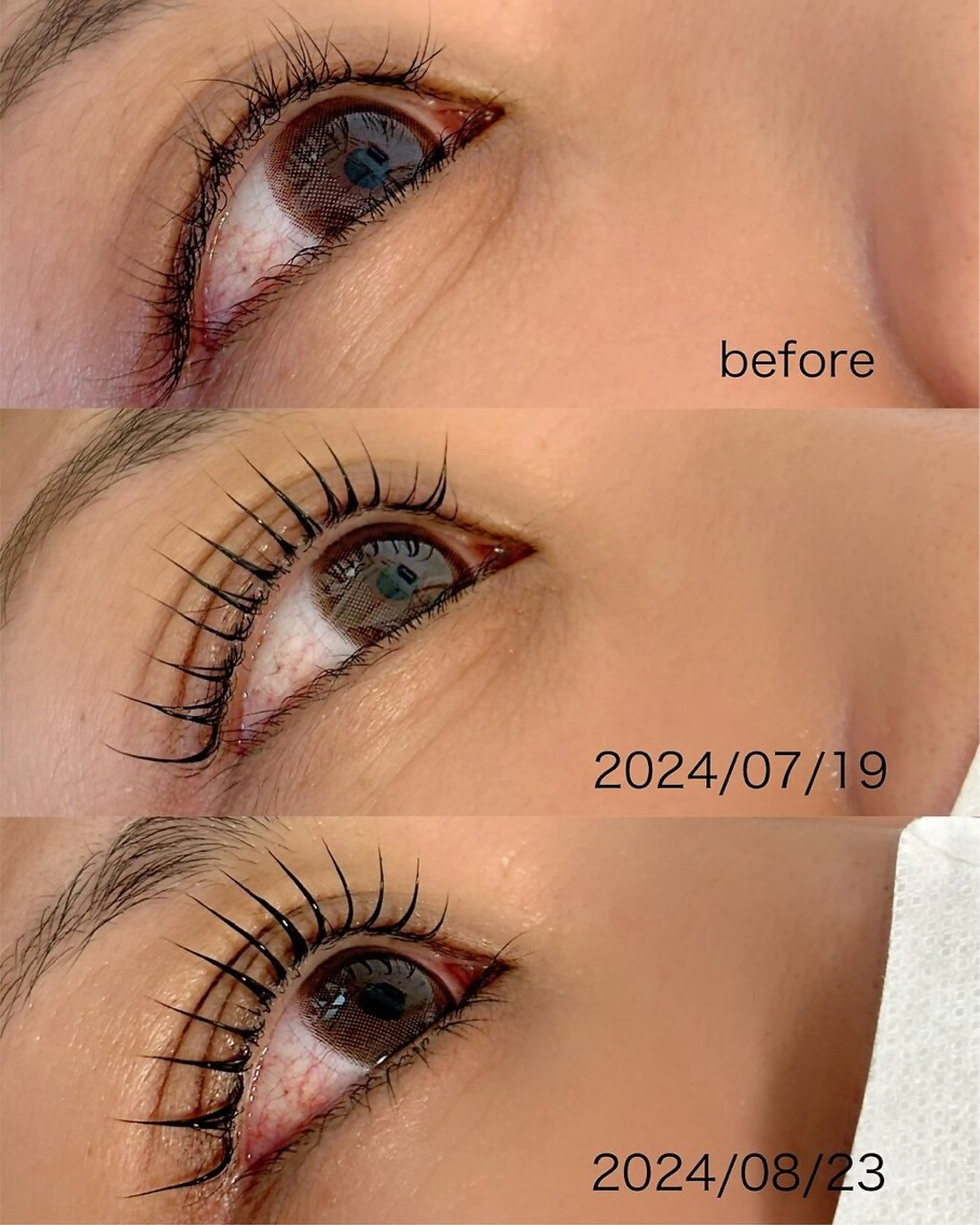 マツエク・マツパ Bruges 自由が丘のマツエク・マツパデザイン