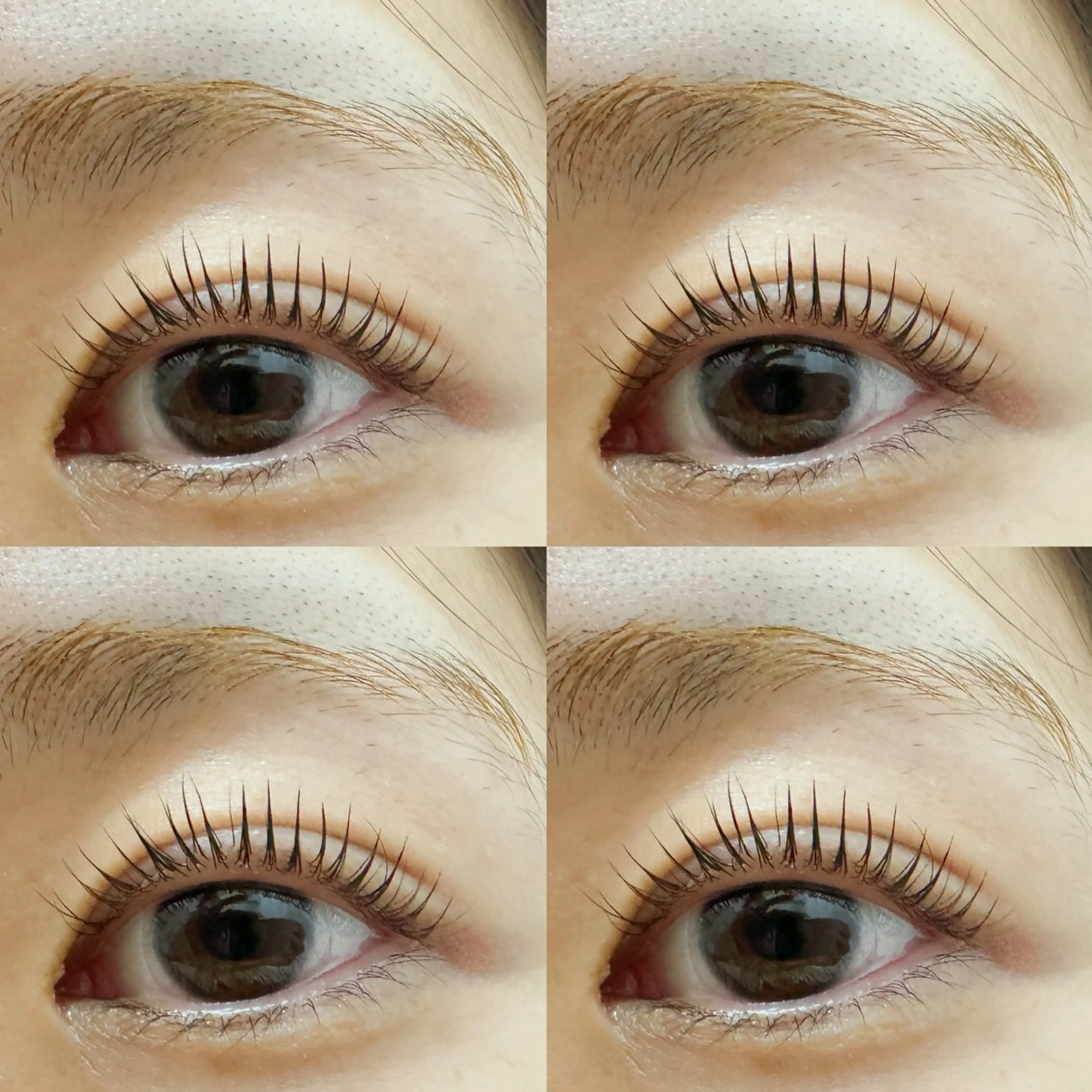 SNS話題ブラックティントマスカラパリジェンヌラッシュリフト(コーティング剤付き)の写真