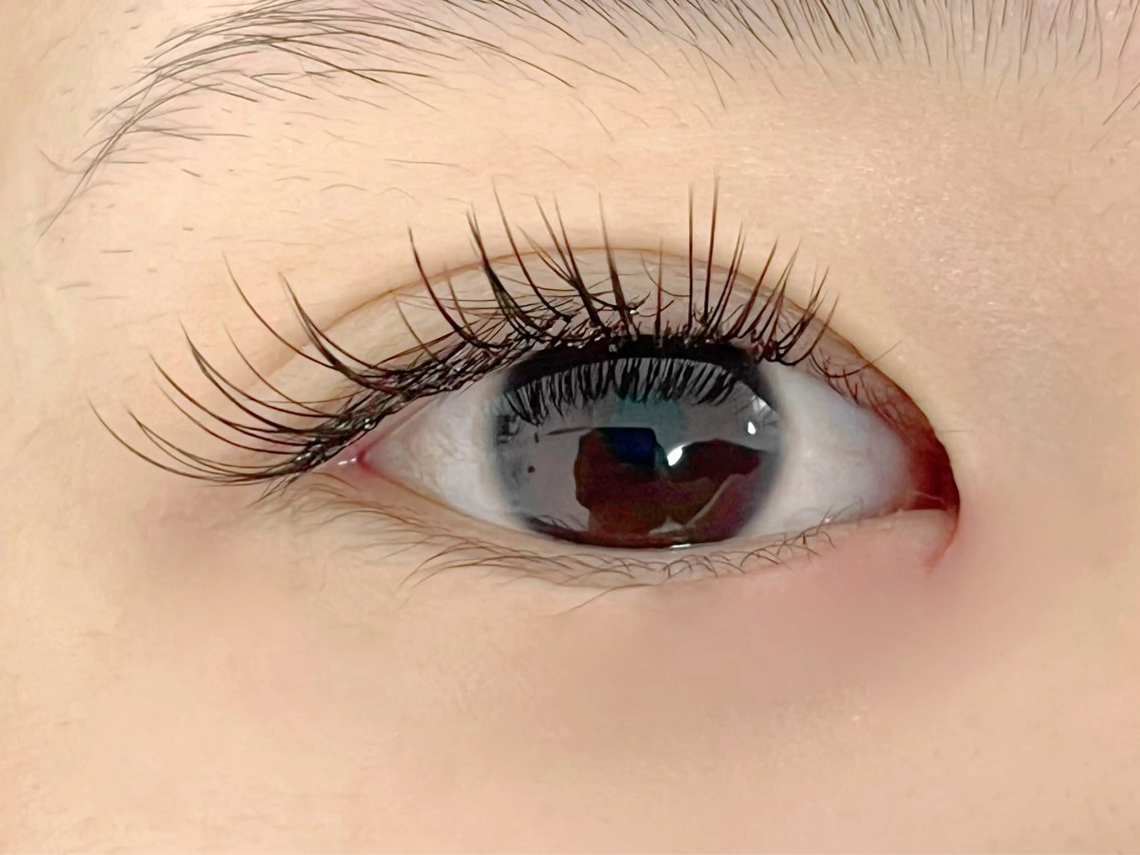 マツエク・マツパ Eye'llbe lash《ｱｲﾋﾞｰﾗｯｼｭ》所属・Eye'llbe lashのその他イメージ