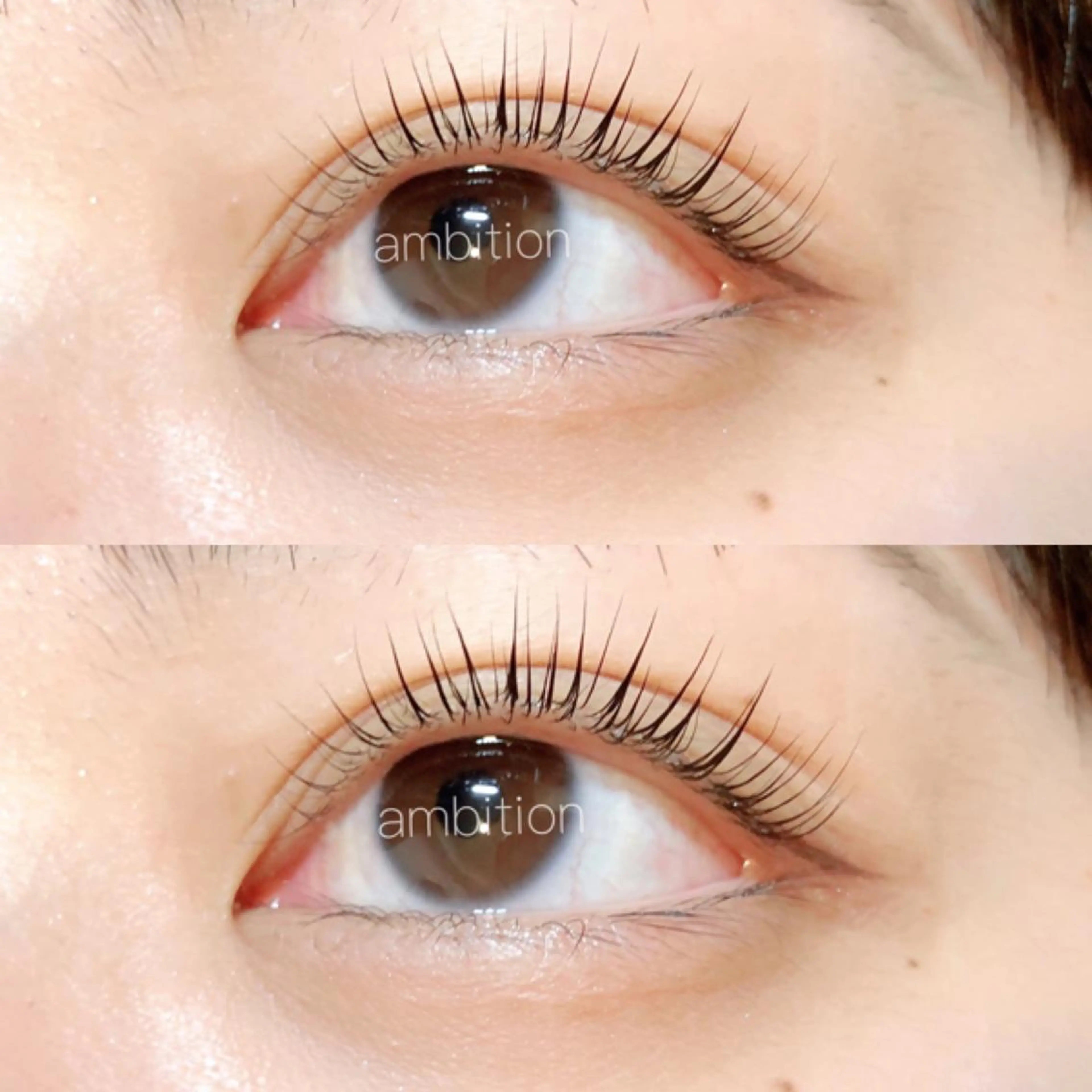 マツエク・マツパ パリジェンヌラッシュリフト デイジーラッシュ 大阪駅前第3ビルのマツエク・マツパデザイン