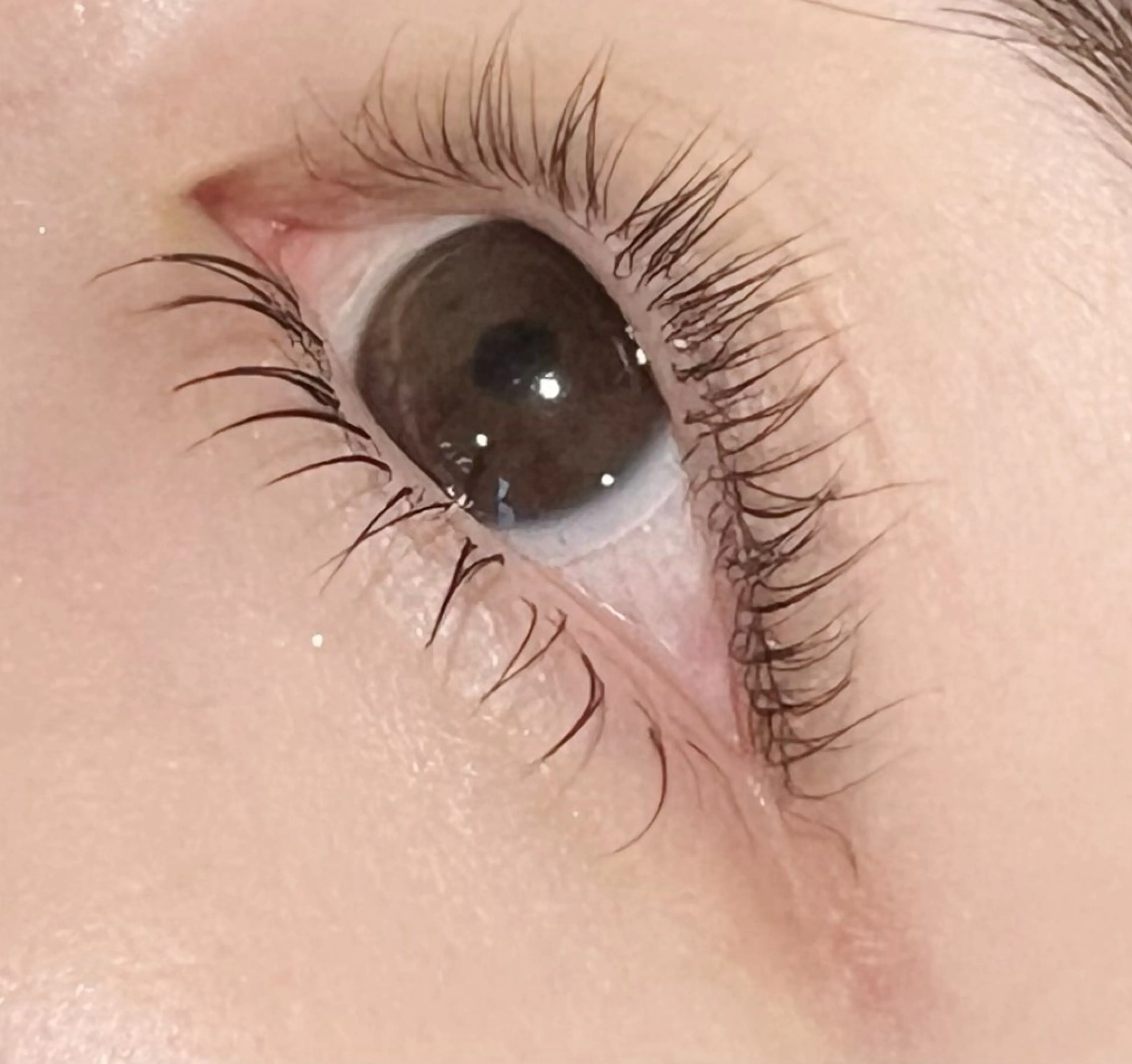 🪐下まつ毛エクステ　40本🪐 【今だけ練習モデル価格🔰¥4000→¥1700】の写真