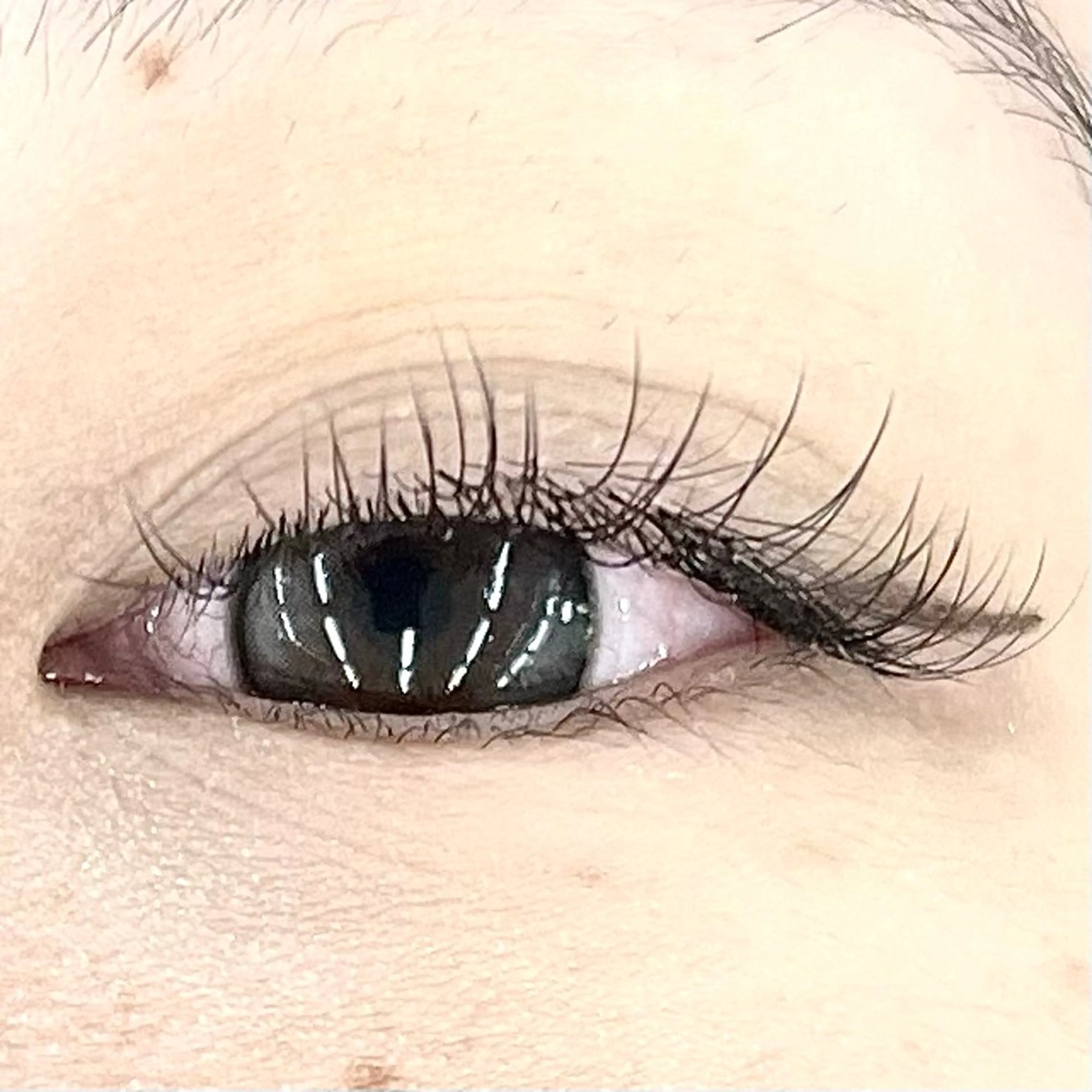 マツエク・マツパ Eyelash 大阪梅田 MAXKELLY【アイラッシュ ウメダ マックスケリー】所属・🦋maxkelly .mizuki🦋のマツエク・マツパデザイン